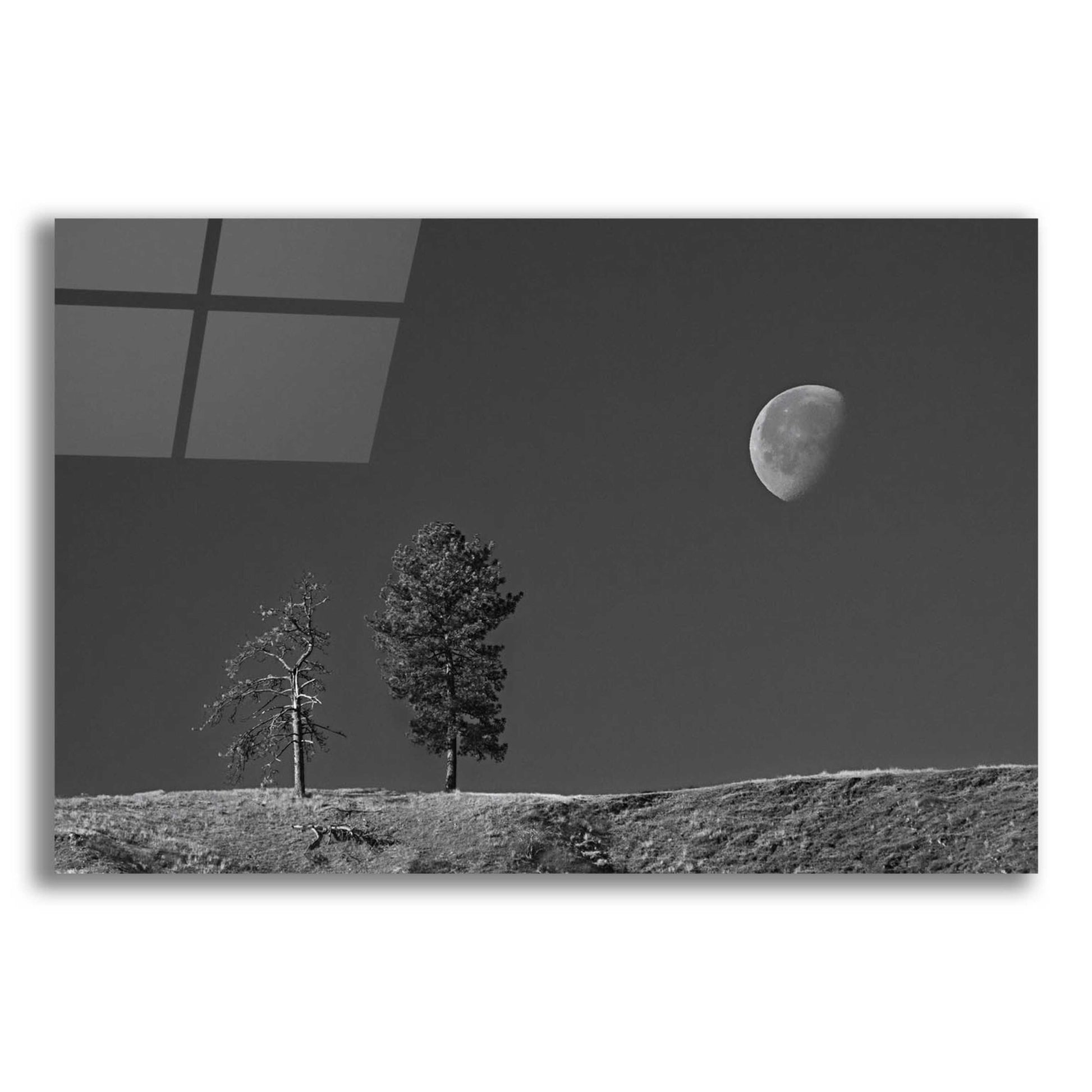 Epic Art 'Moon Trees Hill' by Thomas Haney, Acrylic Glass Wall Art,24x16