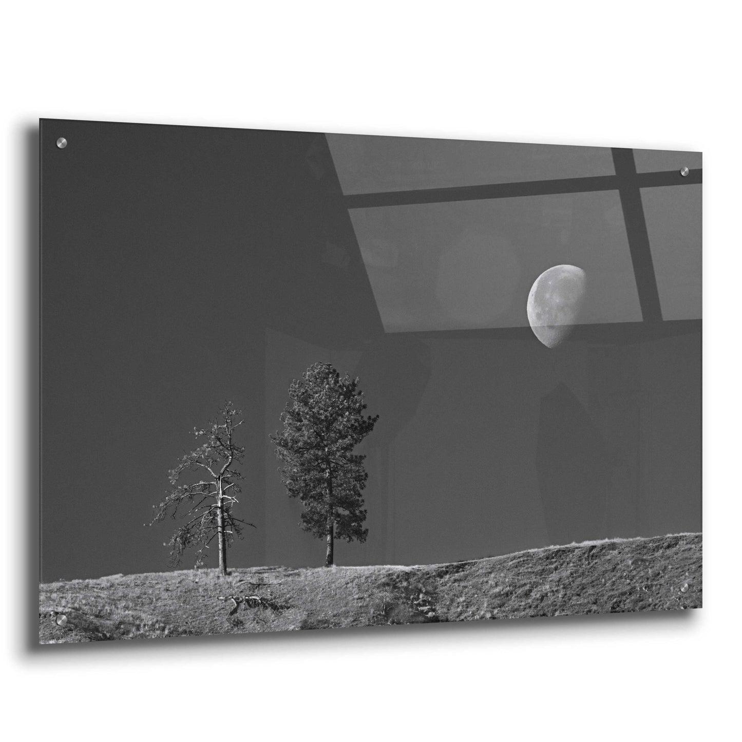 Epic Art 'Moon Trees Hill' by Thomas Haney, Acrylic Glass Wall Art,36x24