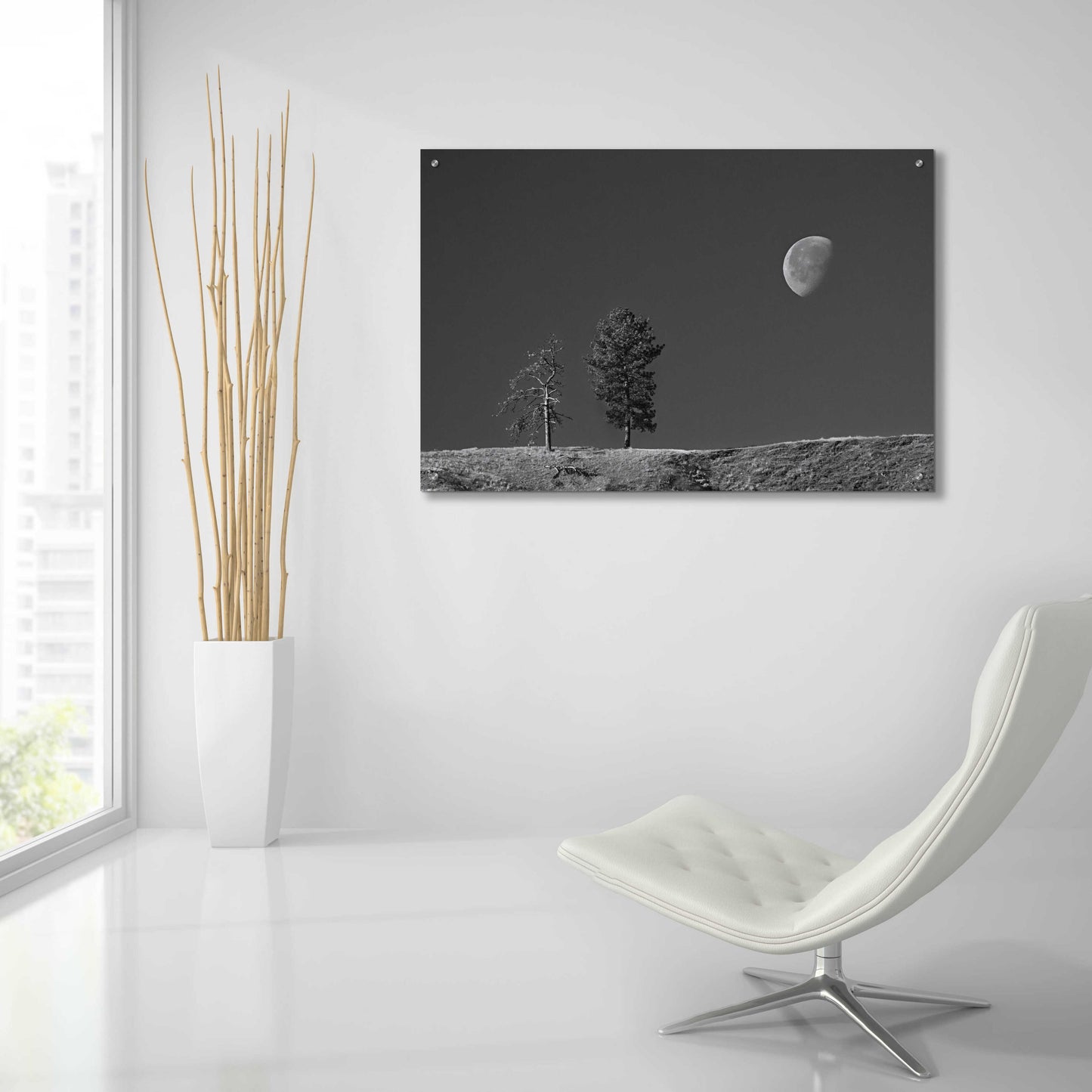 Epic Art 'Moon Trees Hill' by Thomas Haney, Acrylic Glass Wall Art,36x24