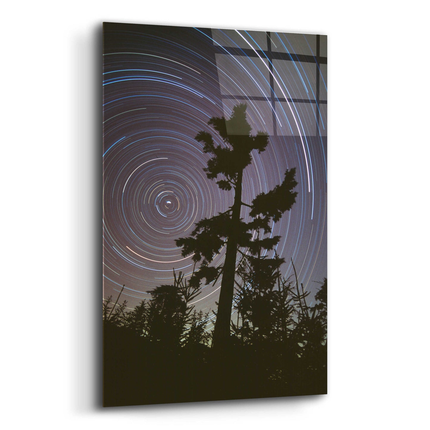 Epic Art 'Polaris Pine' by Thomas Haney, Acrylic Glass Wall Art,12x16