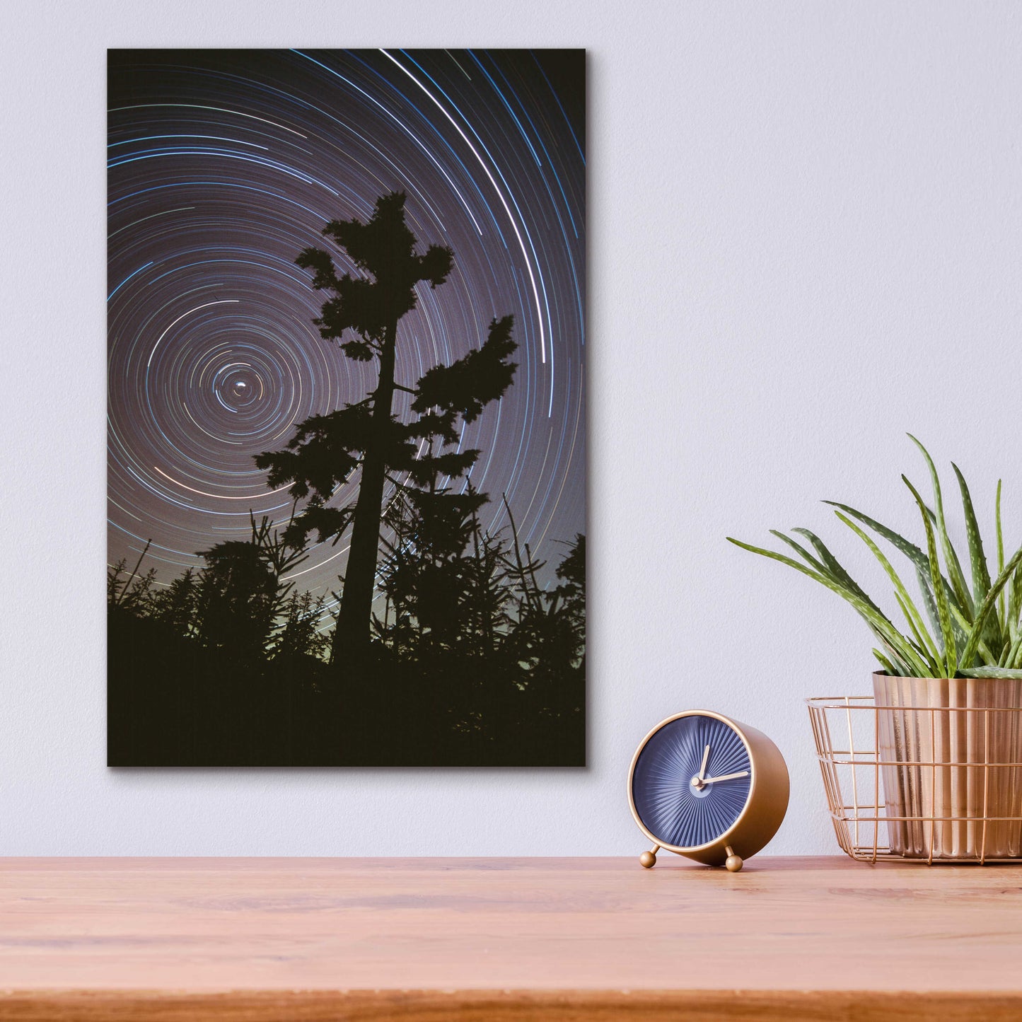 Epic Art 'Polaris Pine' by Thomas Haney, Acrylic Glass Wall Art,12x16