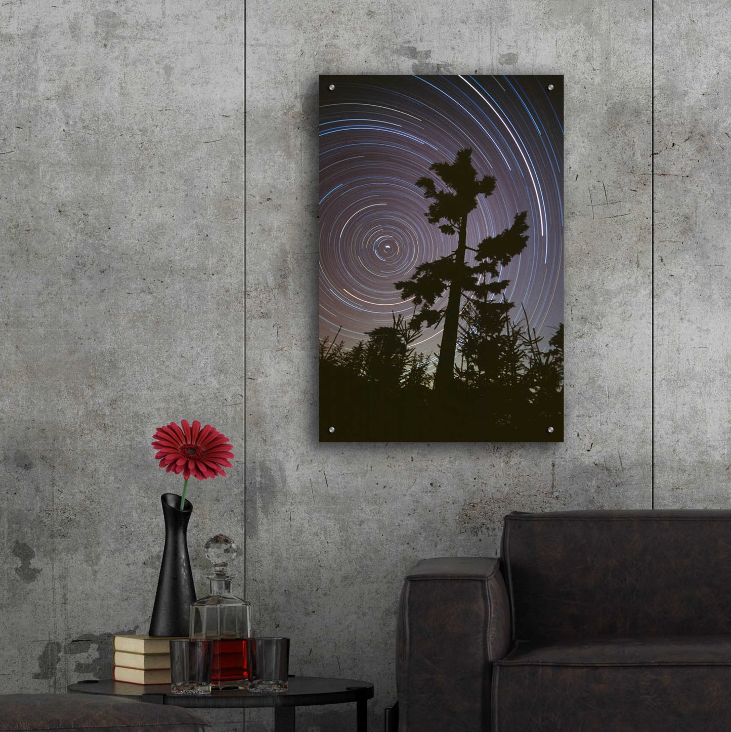 Epic Art 'Polaris Pine' by Thomas Haney, Acrylic Glass Wall Art,24x36