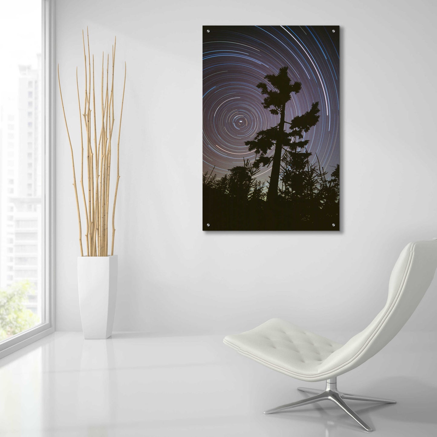 Epic Art 'Polaris Pine' by Thomas Haney, Acrylic Glass Wall Art,24x36