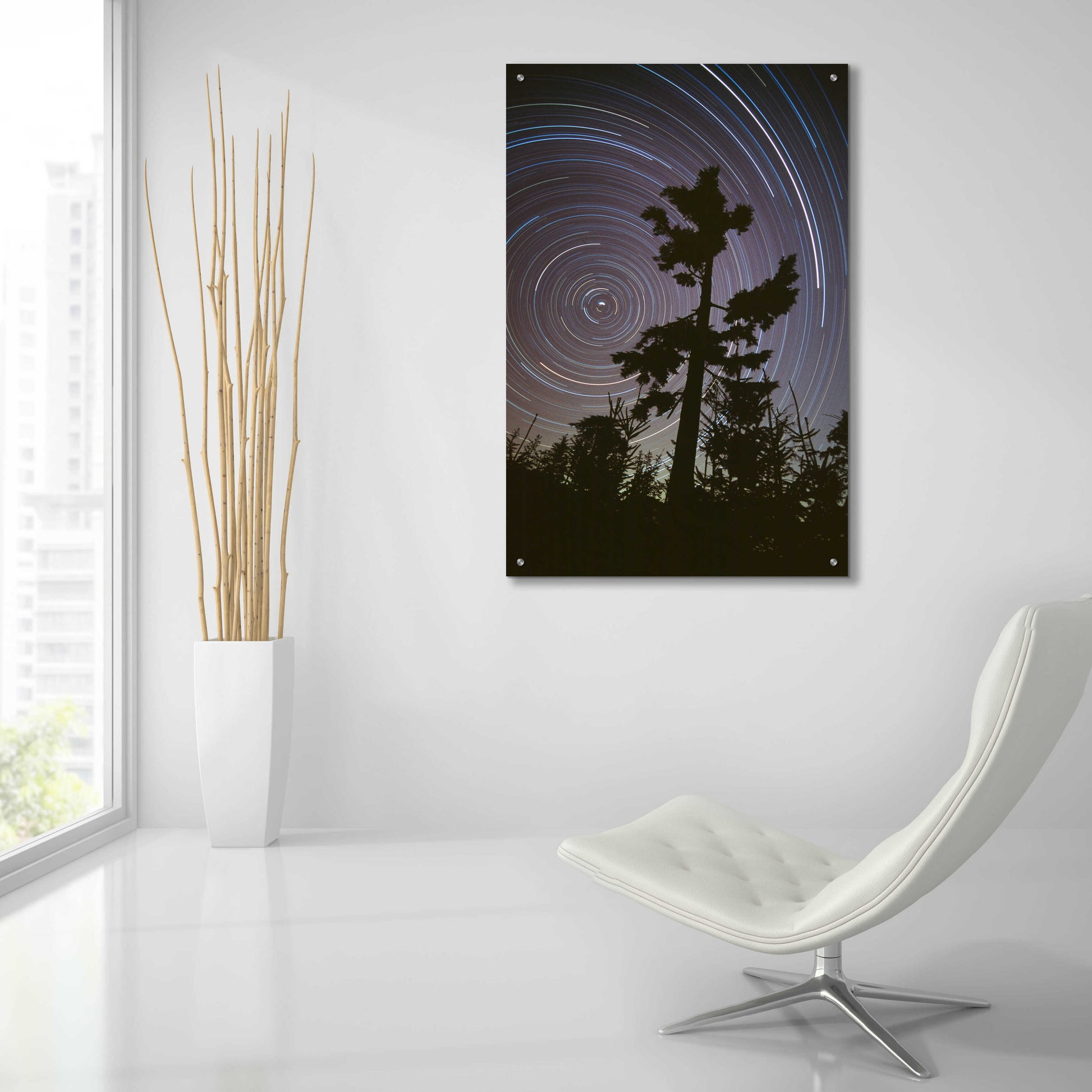 Epic Art 'Polaris Pine' by Thomas Haney, Acrylic Glass Wall Art,24x36