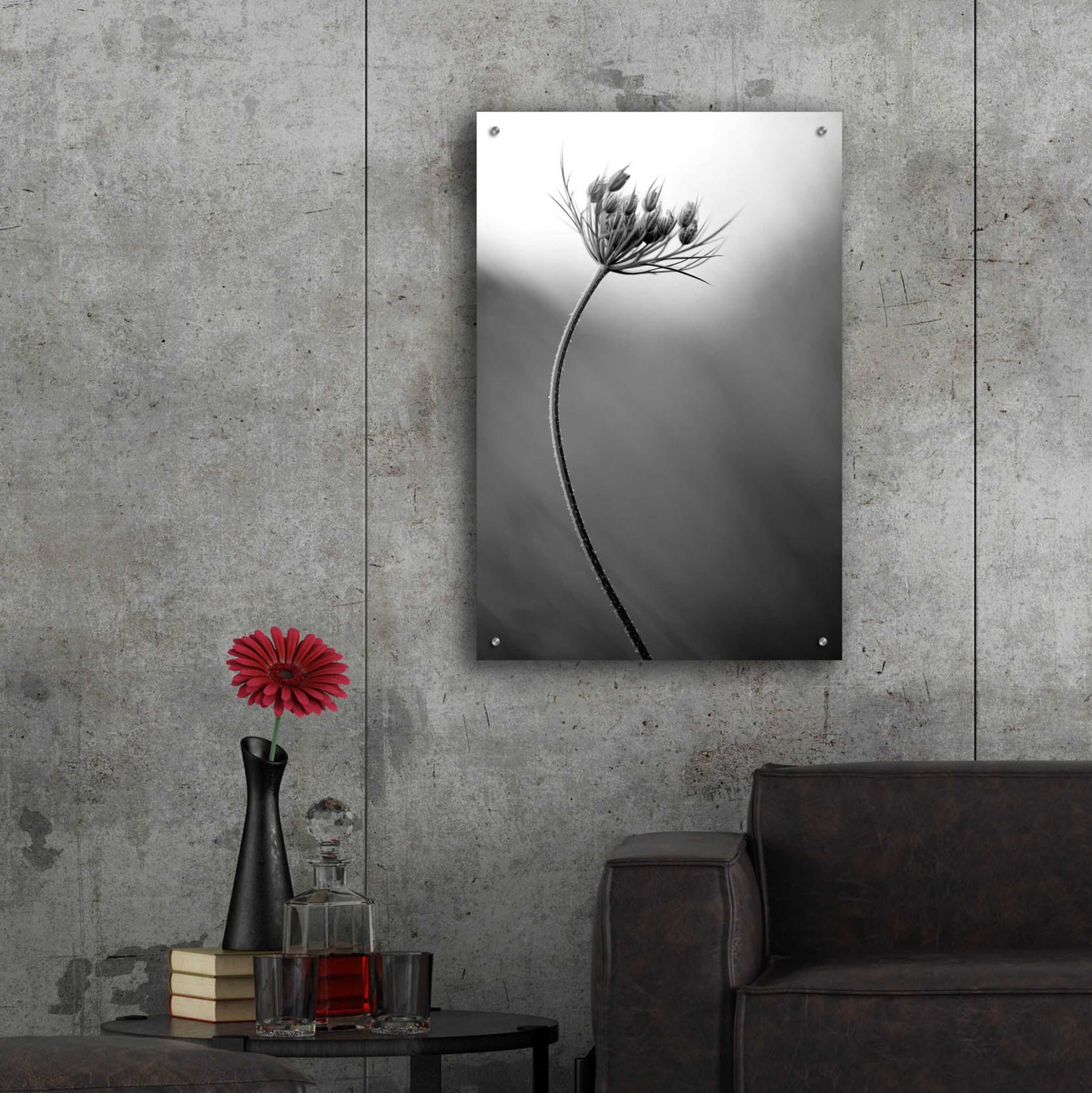 Epic Art 'Queen Anne's B&W' by Thomas Haney, Acrylic Glass Wall Art,24x36