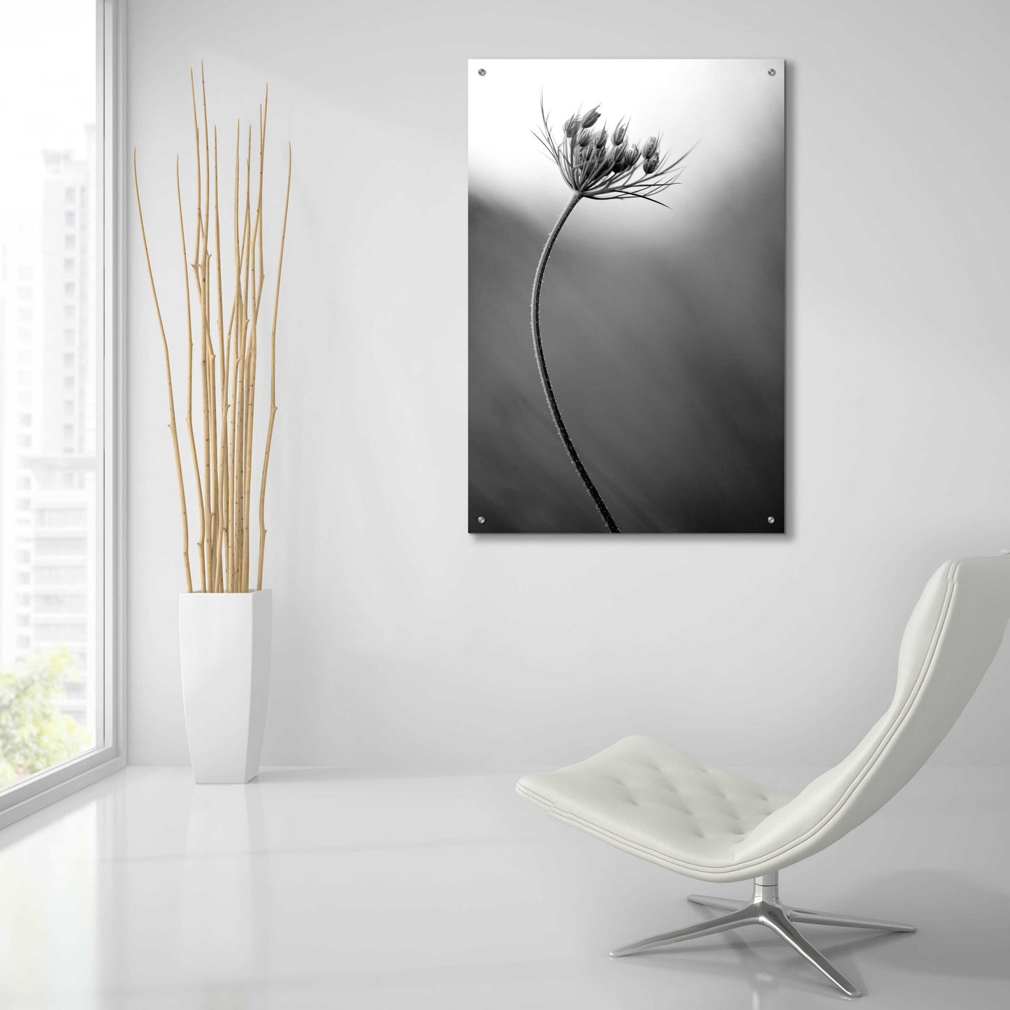 Epic Art 'Queen Anne's B&W' by Thomas Haney, Acrylic Glass Wall Art,24x36