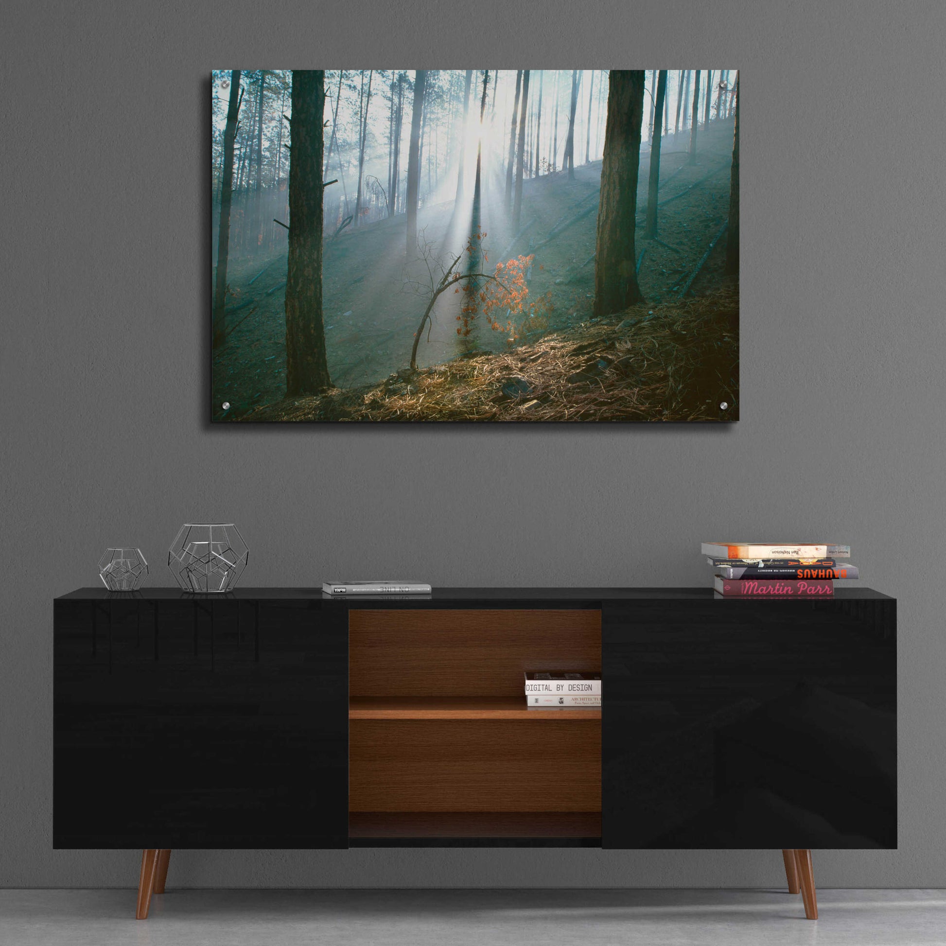 Epic Art 'Smoke Forest' by Thomas Haney, Acrylic Glass Wall Art,36x24