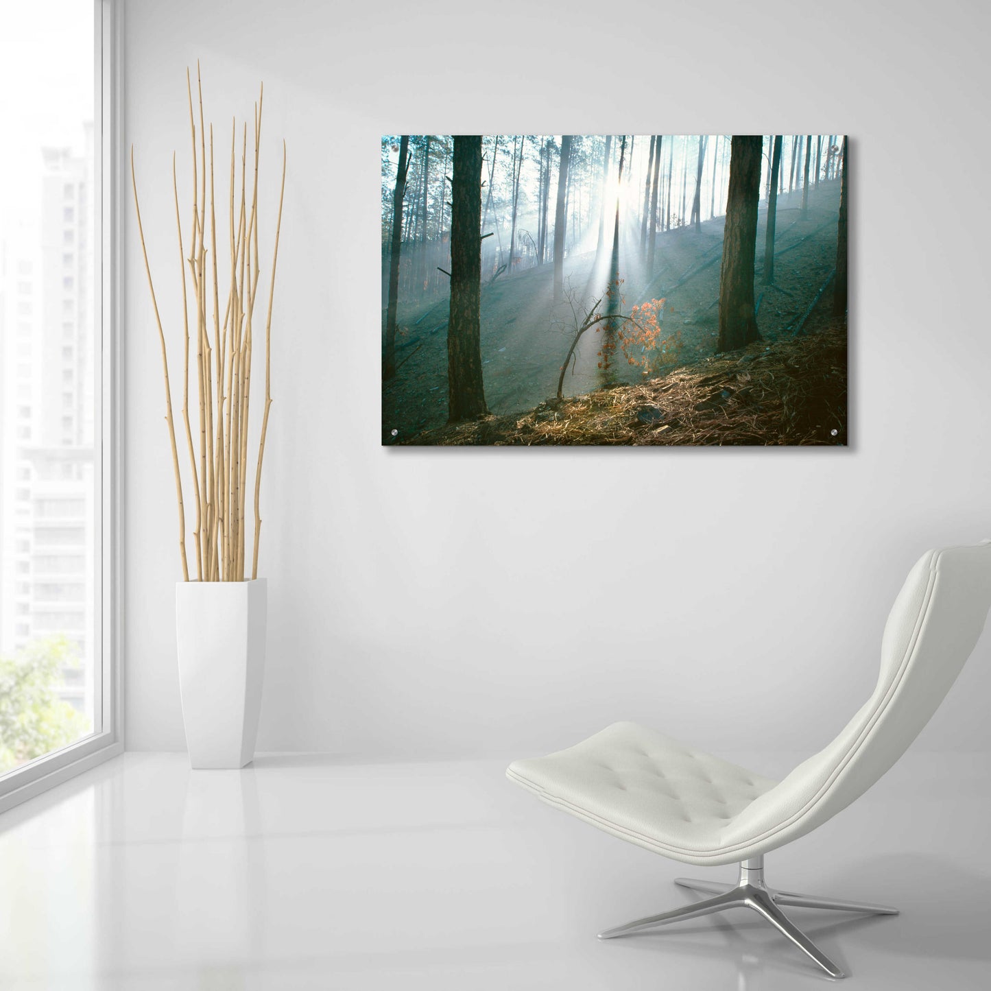 Epic Art 'Smoke Forest' by Thomas Haney, Acrylic Glass Wall Art,36x24