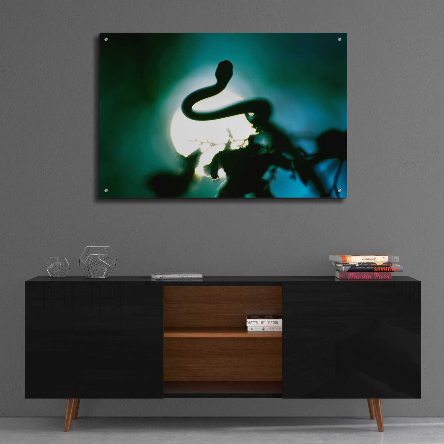 Epic Art 'Snake Sun' by Thomas Haney, Acrylic Glass Wall Art,36x24