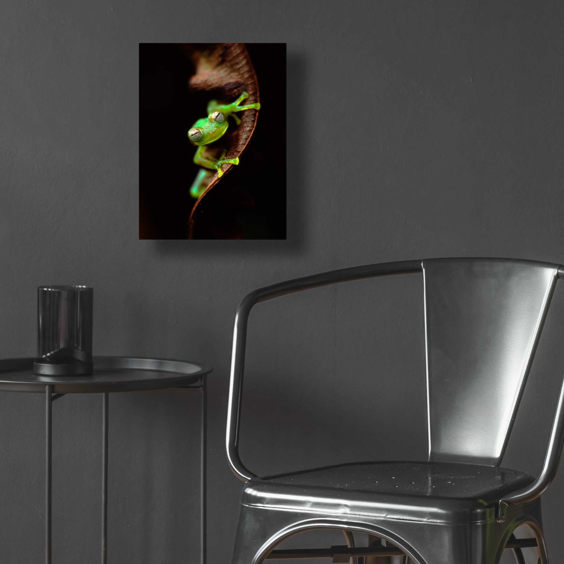 Epic Art 'Frog Portrait' by Thomas Haney, Acrylic Glass Wall Art,12x16