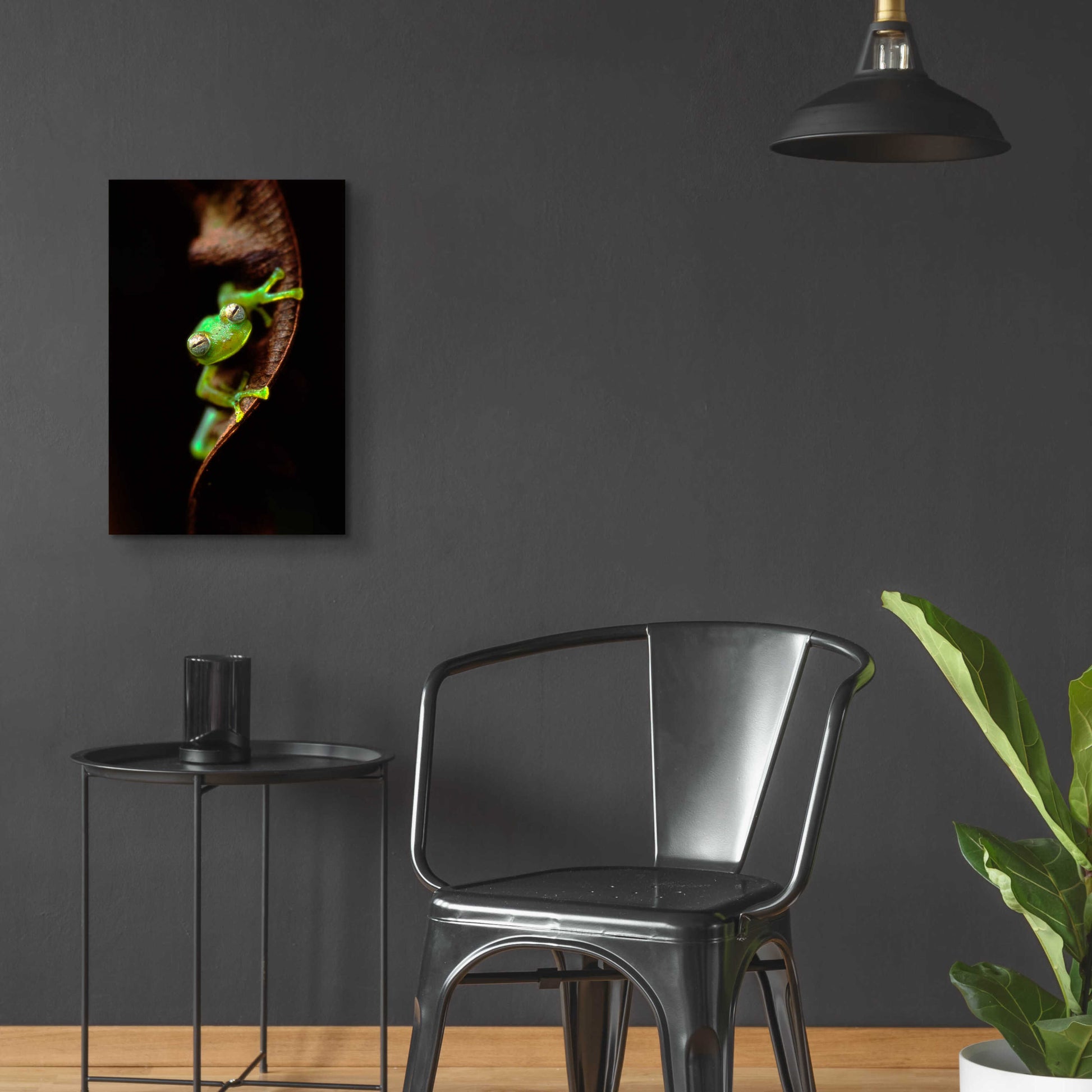 Epic Art 'Frog Portrait' by Thomas Haney, Acrylic Glass Wall Art,16x24