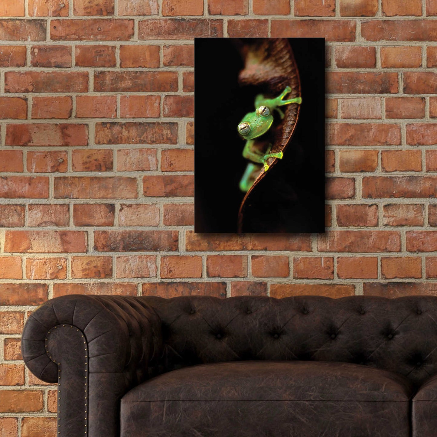 Epic Art 'Frog Portrait' by Thomas Haney, Acrylic Glass Wall Art,16x24