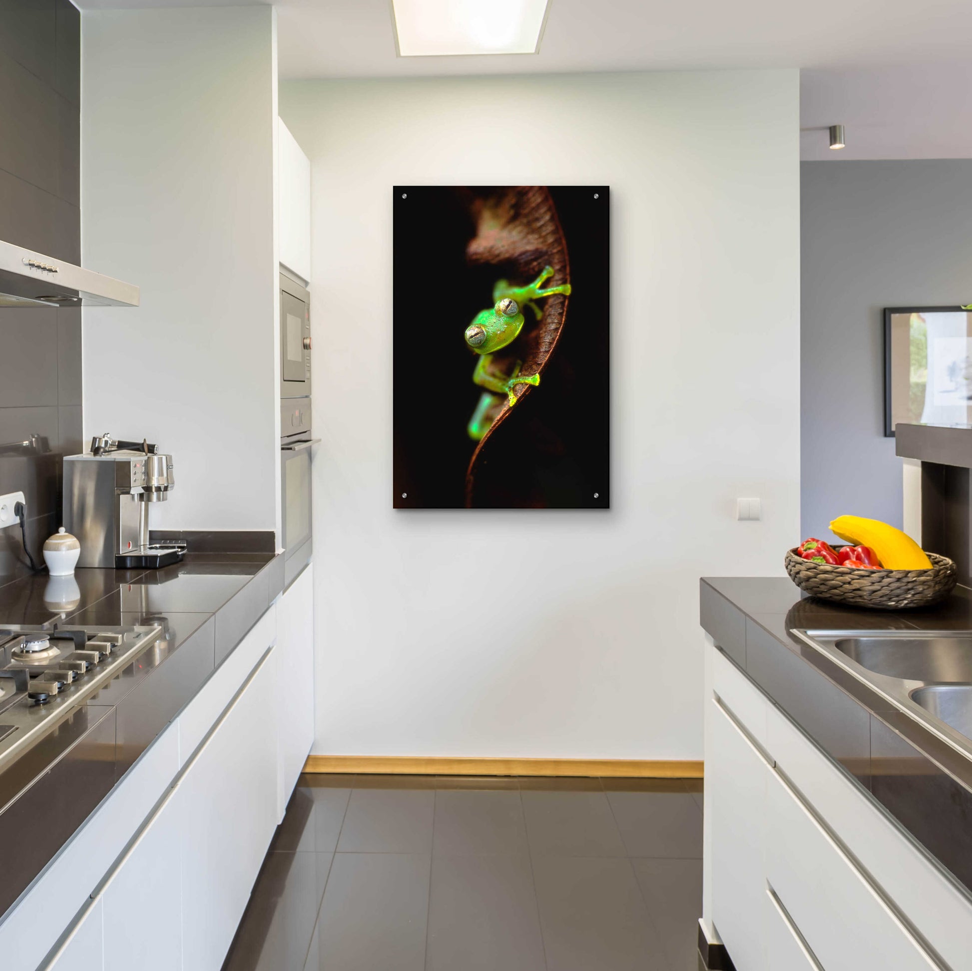 Epic Art 'Frog Portrait' by Thomas Haney, Acrylic Glass Wall Art,24x36