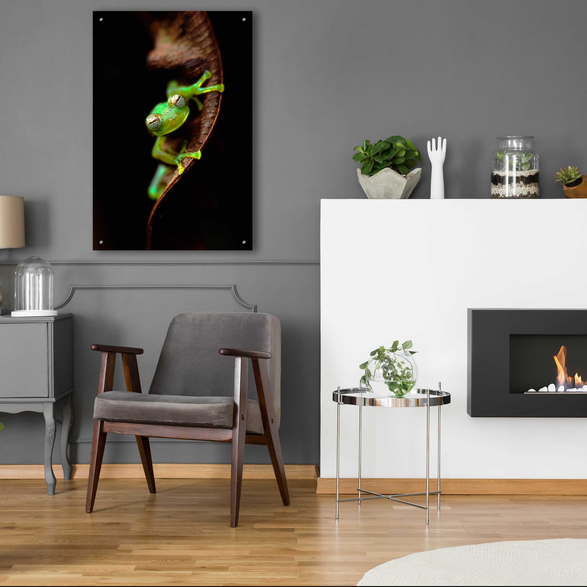 Epic Art 'Frog Portrait' by Thomas Haney, Acrylic Glass Wall Art,24x36