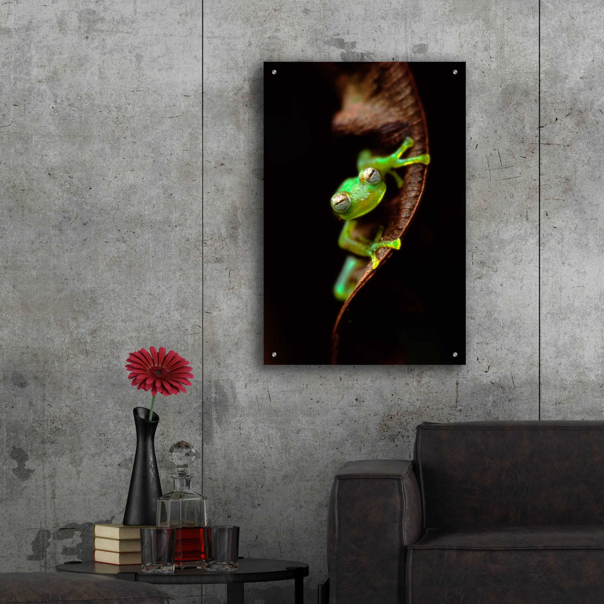 Epic Art 'Frog Portrait' by Thomas Haney, Acrylic Glass Wall Art,24x36