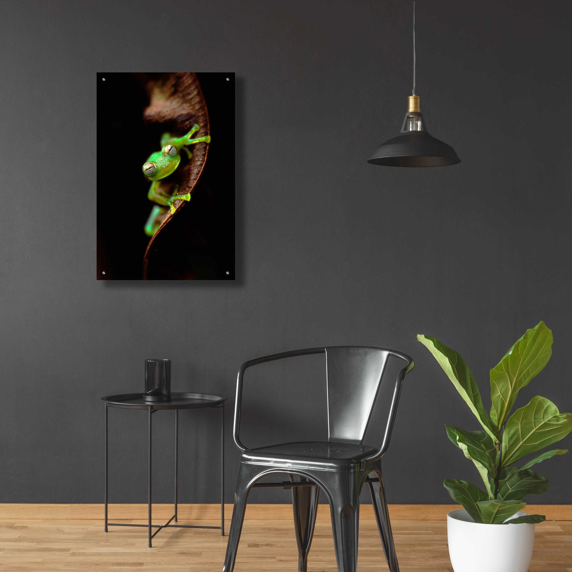 Epic Art 'Frog Portrait' by Thomas Haney, Acrylic Glass Wall Art,24x36