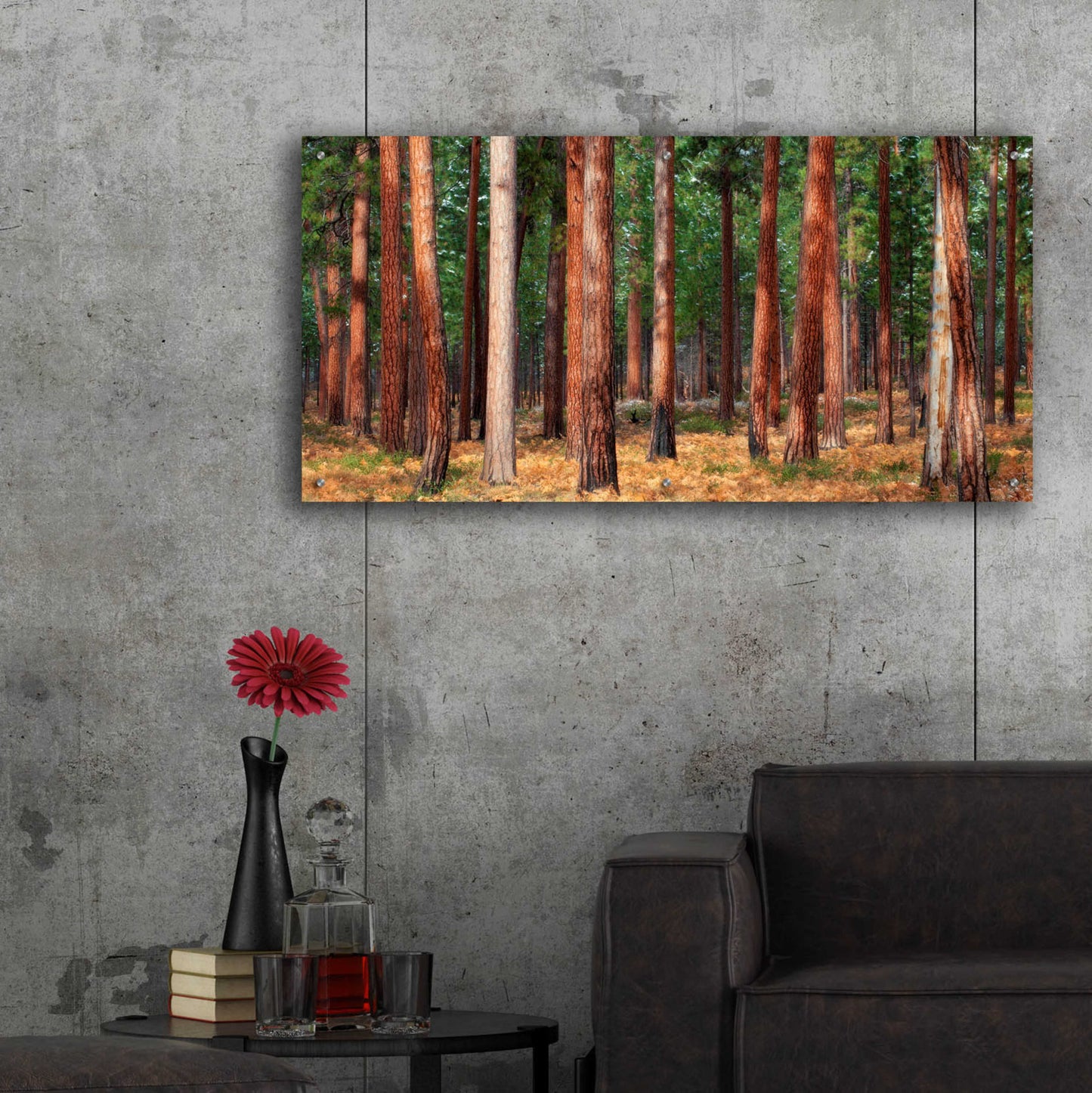 Epic Art 'Ponderosa Trunks' by Thomas Haney, Acrylic Glass Wall Art,48x24