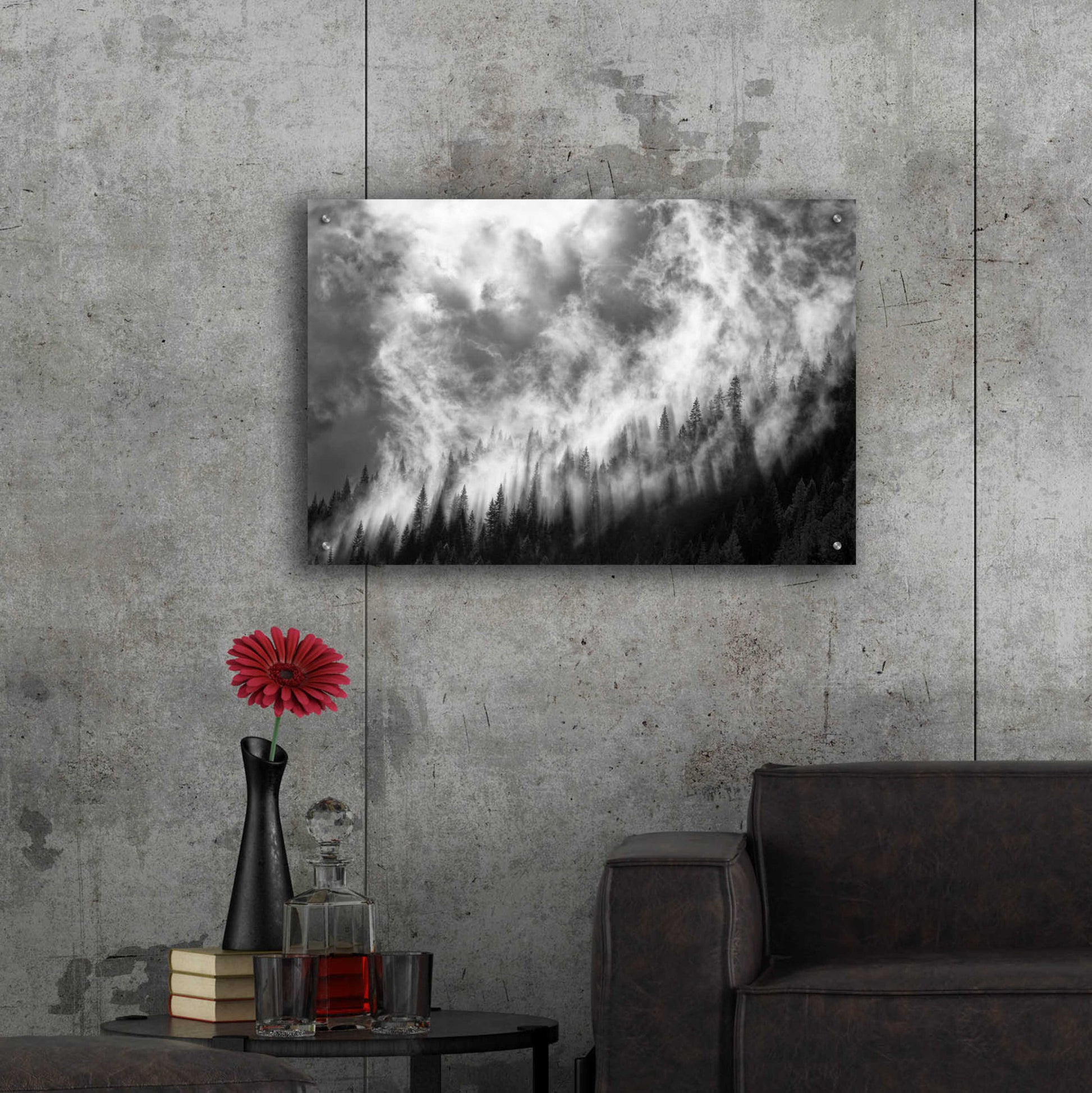 Epic Art 'Rising Mist 3' by Thomas Haney, Acrylic Glass Wall Art,36x24