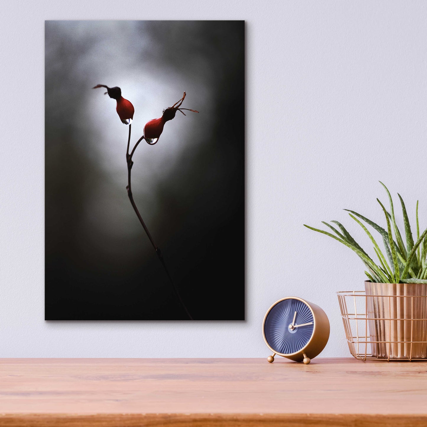 Epic Art 'Rose Hips' by Thomas Haney, Acrylic Glass Wall Art,12x16