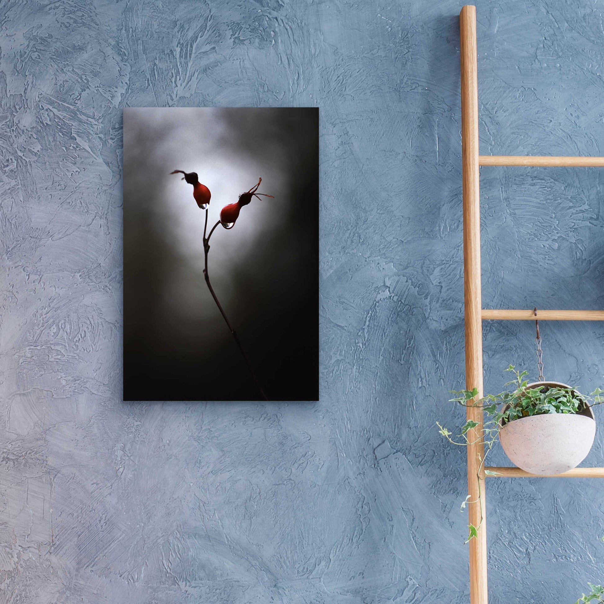 Epic Art 'Rose Hips' by Thomas Haney, Acrylic Glass Wall Art,16x24