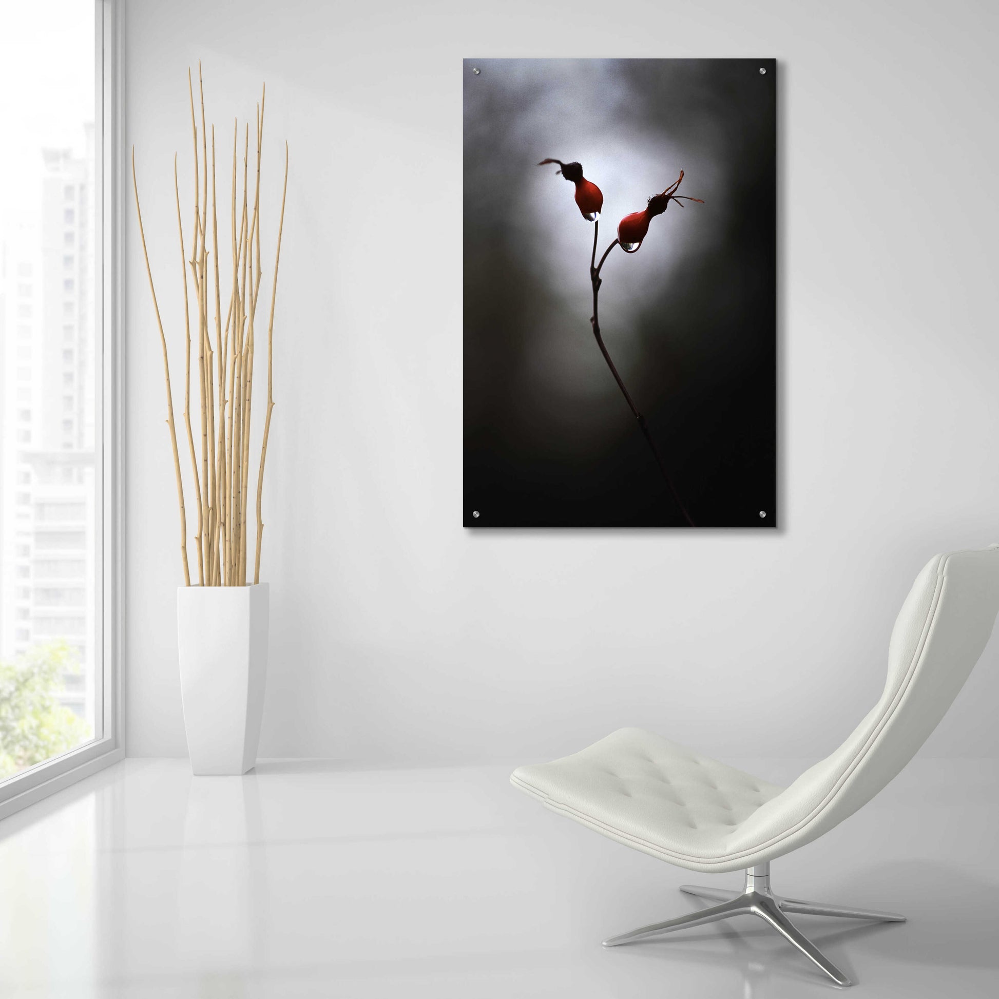 Epic Art 'Rose Hips' by Thomas Haney, Acrylic Glass Wall Art,24x36