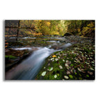Epic Art 'Rushing Best' by Thomas Haney, Acrylic Glass Wall Art