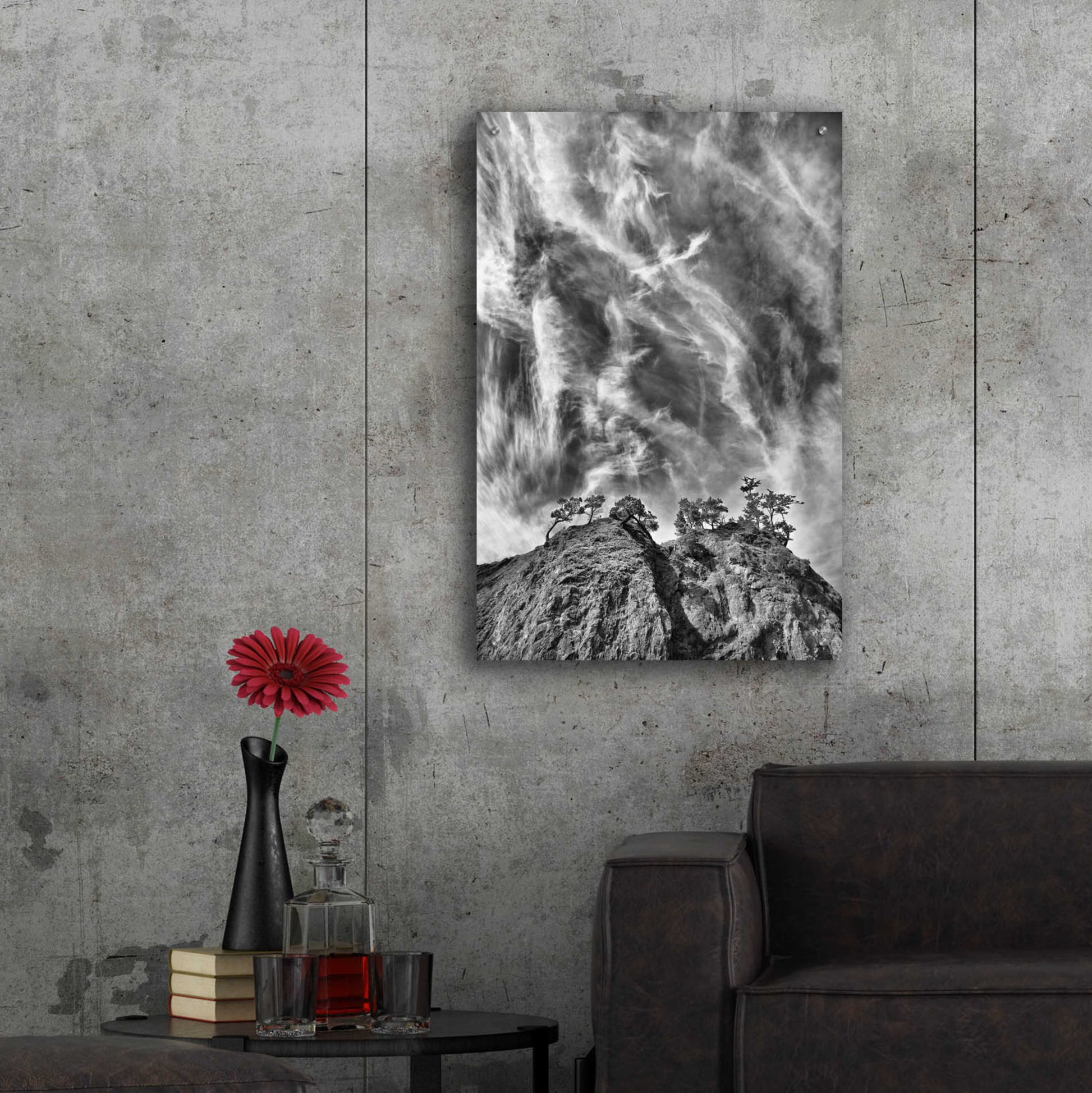 Epic Art 'Tree Island Clouds B&W Pushed' by Thomas Haney, Acrylic Glass Wall Art,24x36