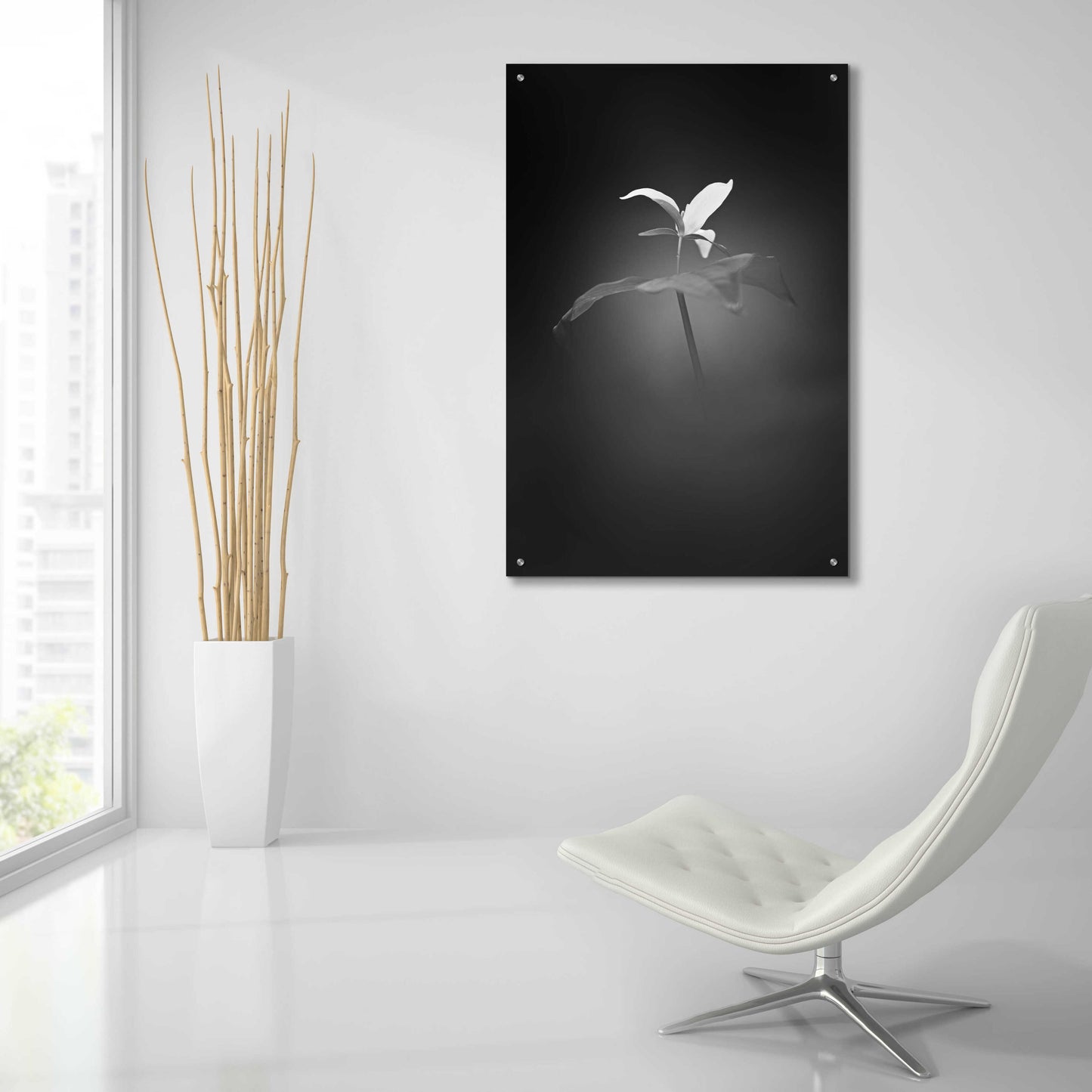 Epic Art 'Trillium Pastel 1 B&W' by Thomas Haney, Acrylic Glass Wall Art,24x36