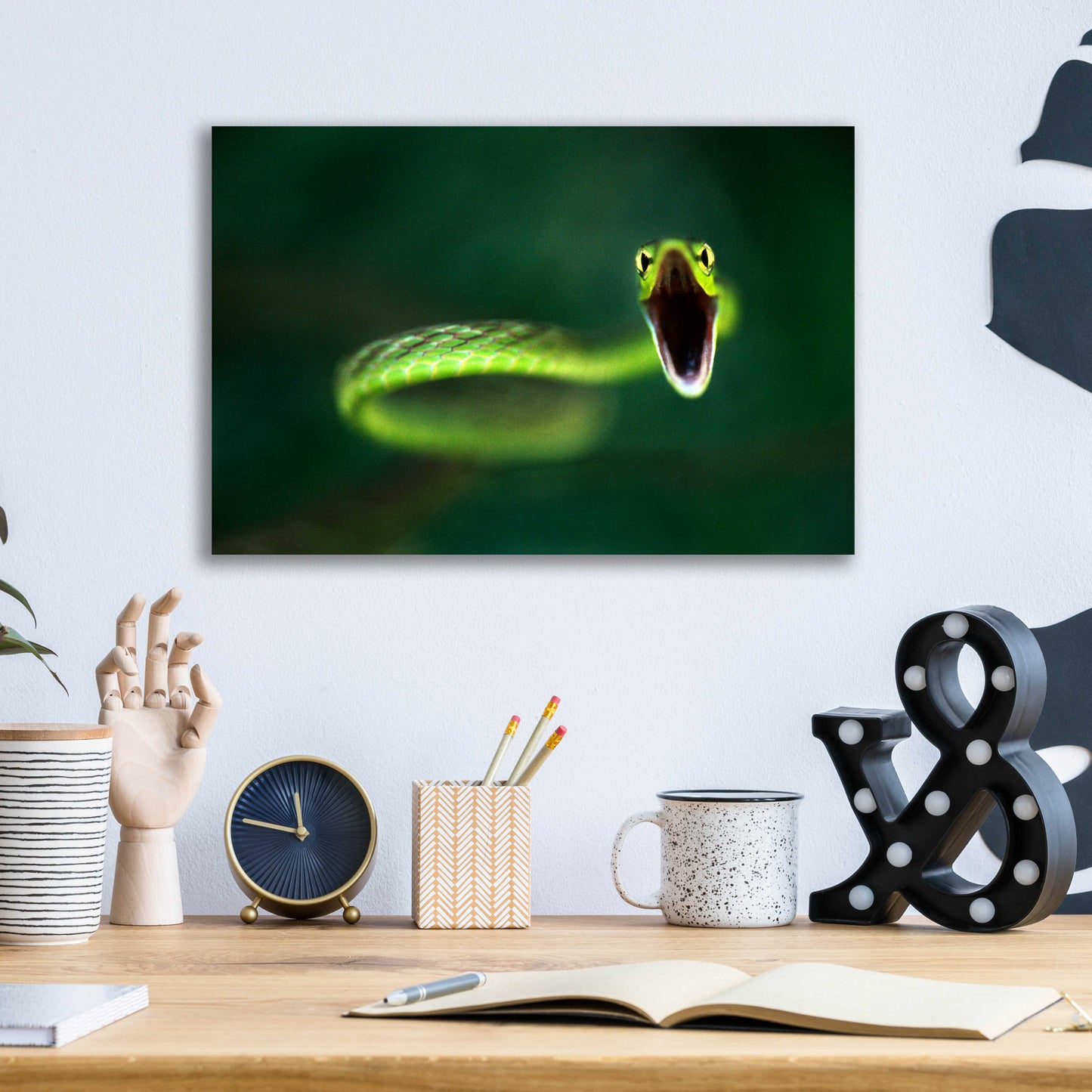 Epic Art 'Vine Snake' by Thomas Haney, Acrylic Glass Wall Art,16x12