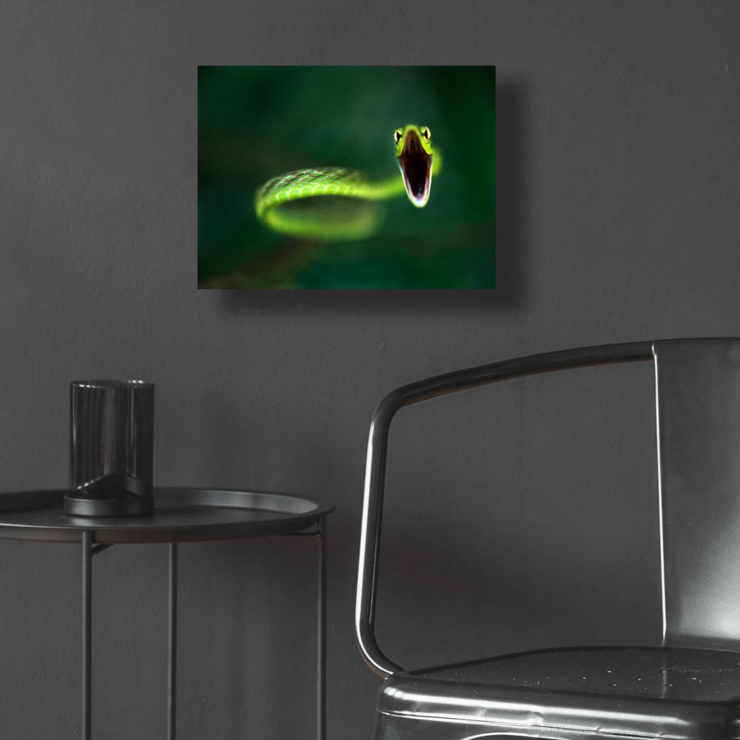 Epic Art 'Vine Snake' by Thomas Haney, Acrylic Glass Wall Art,16x12