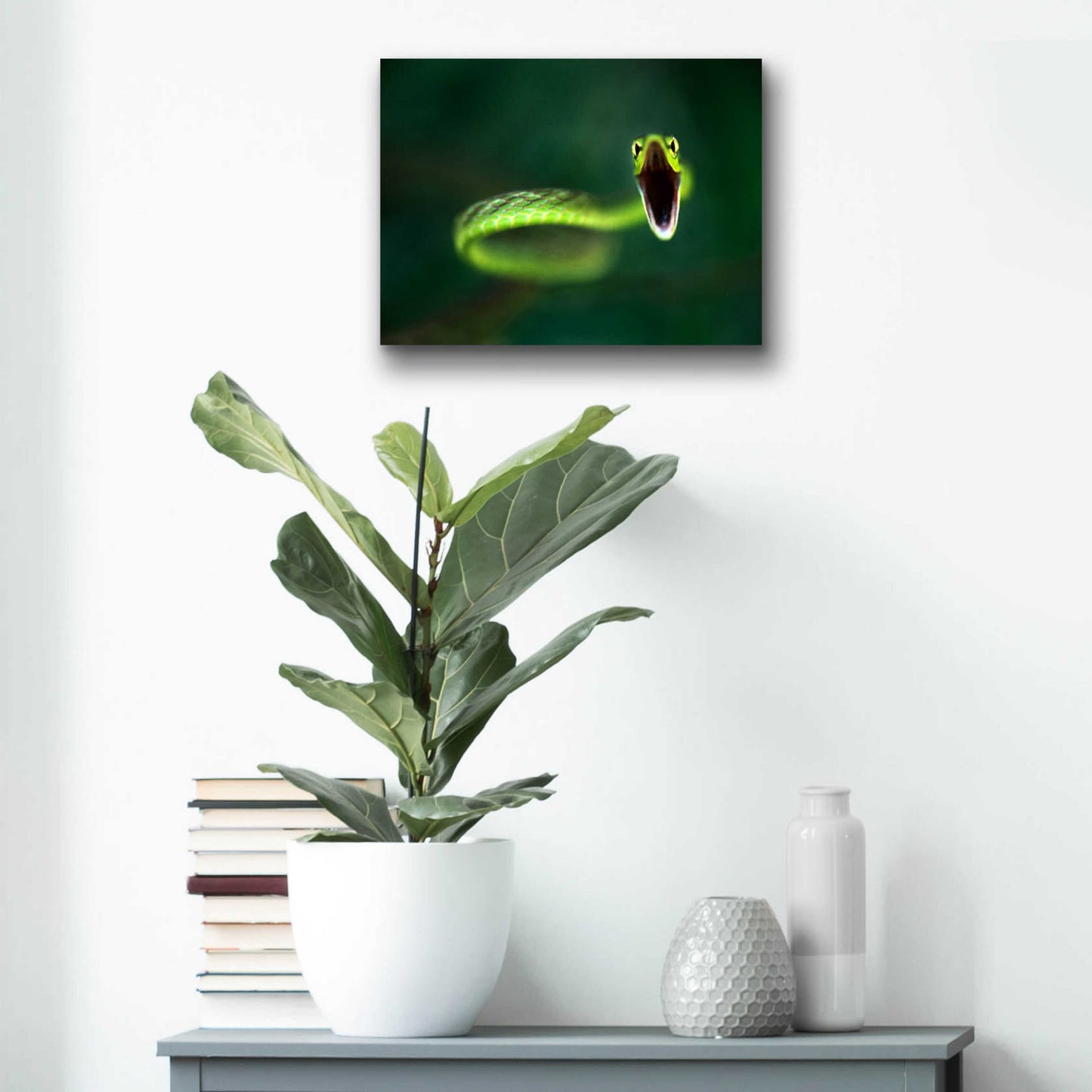 Epic Art 'Vine Snake' by Thomas Haney, Acrylic Glass Wall Art,16x12