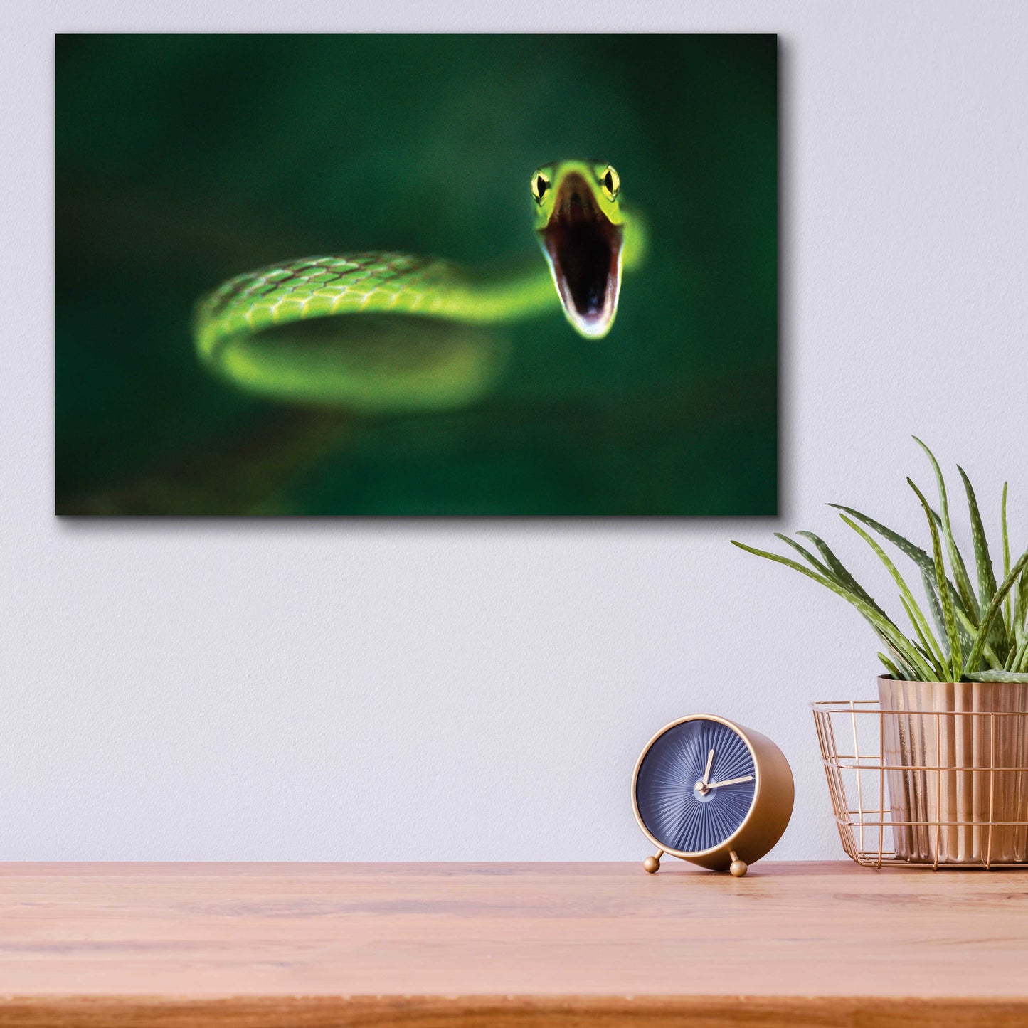 Epic Art 'Vine Snake' by Thomas Haney, Acrylic Glass Wall Art,16x12