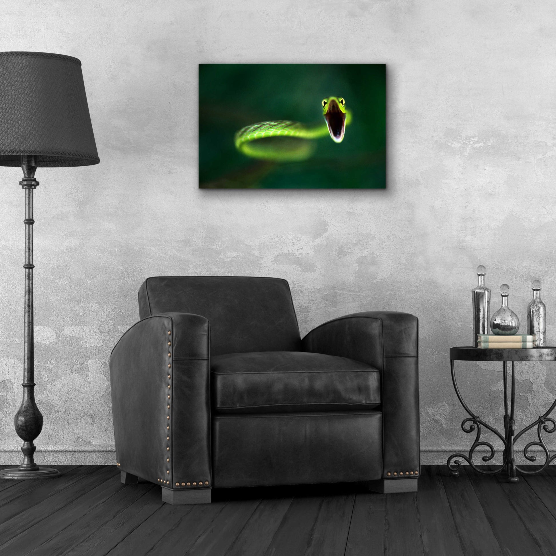 Epic Art 'Vine Snake' by Thomas Haney, Acrylic Glass Wall Art,24x16