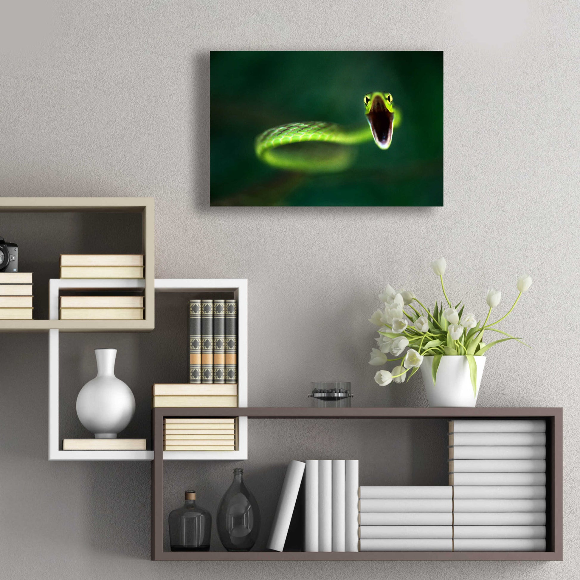 Epic Art 'Vine Snake' by Thomas Haney, Acrylic Glass Wall Art,24x16