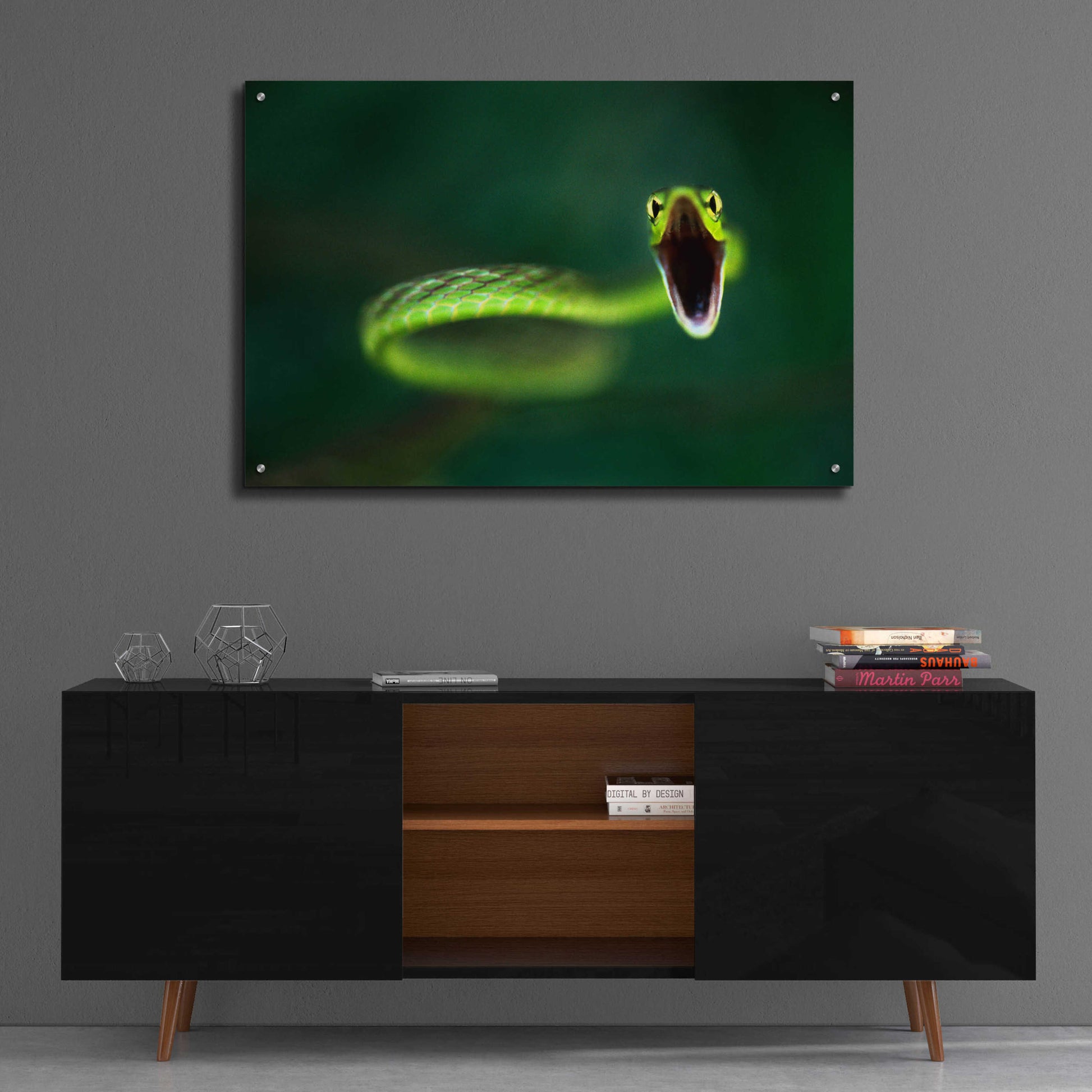 Epic Art 'Vine Snake' by Thomas Haney, Acrylic Glass Wall Art,36x24