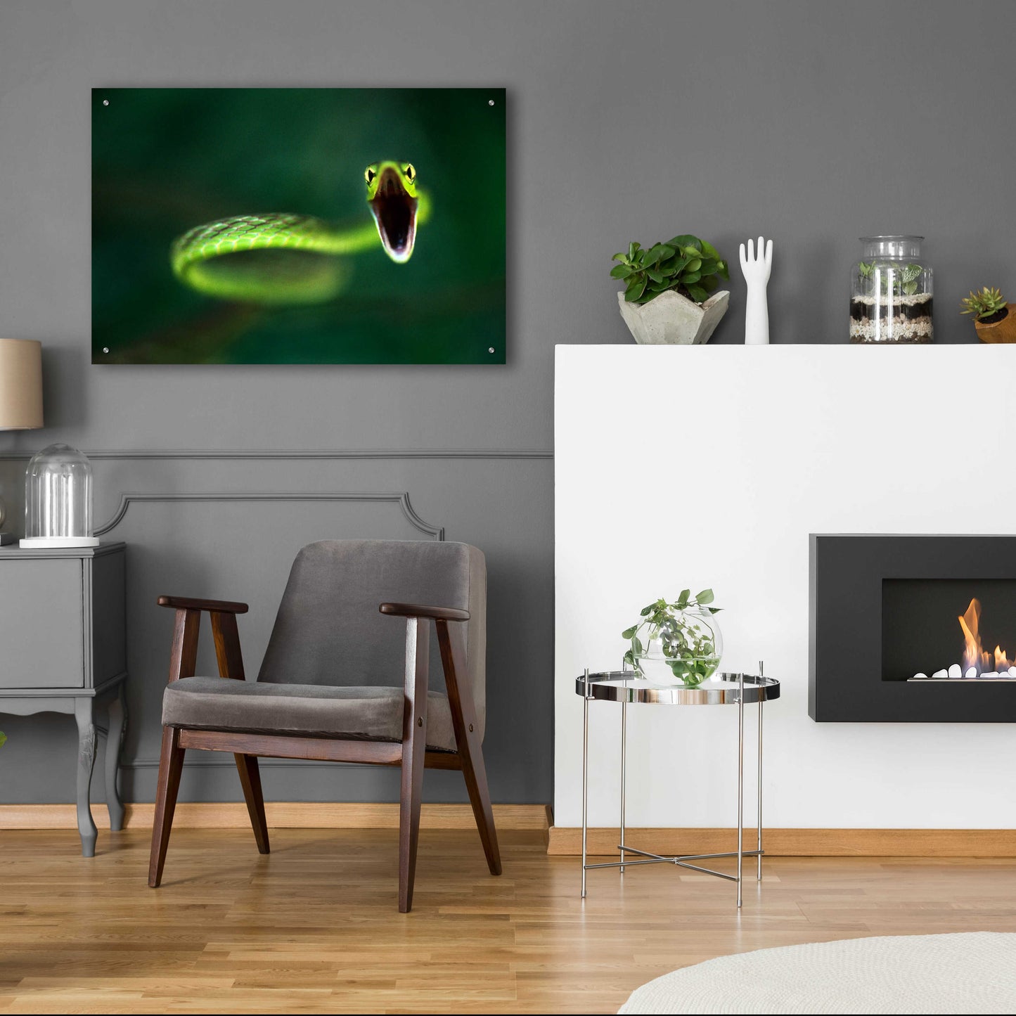 Epic Art 'Vine Snake' by Thomas Haney, Acrylic Glass Wall Art,36x24