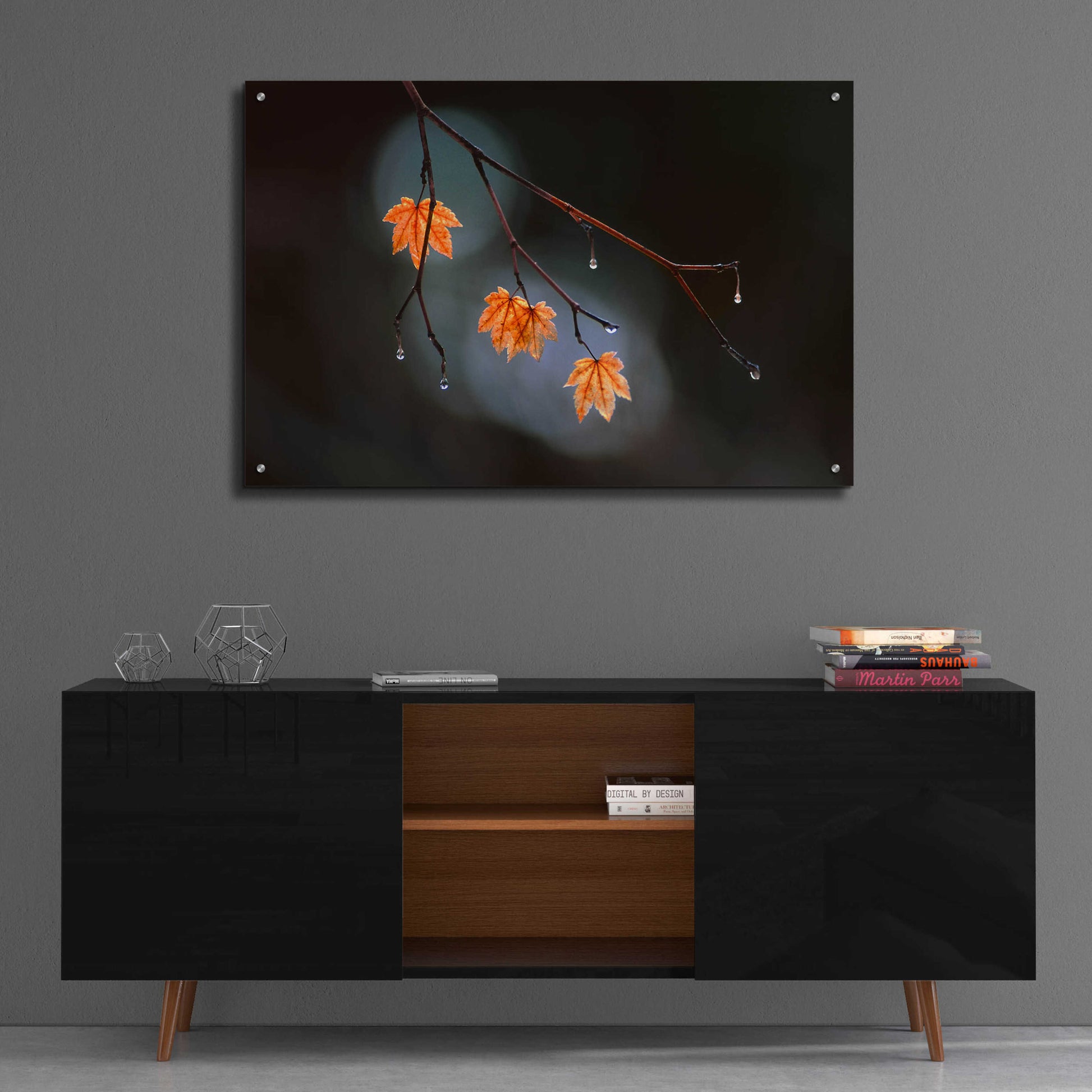 Epic Art 'Wet Fall' by Thomas Haney, Acrylic Glass Wall Art,36x24