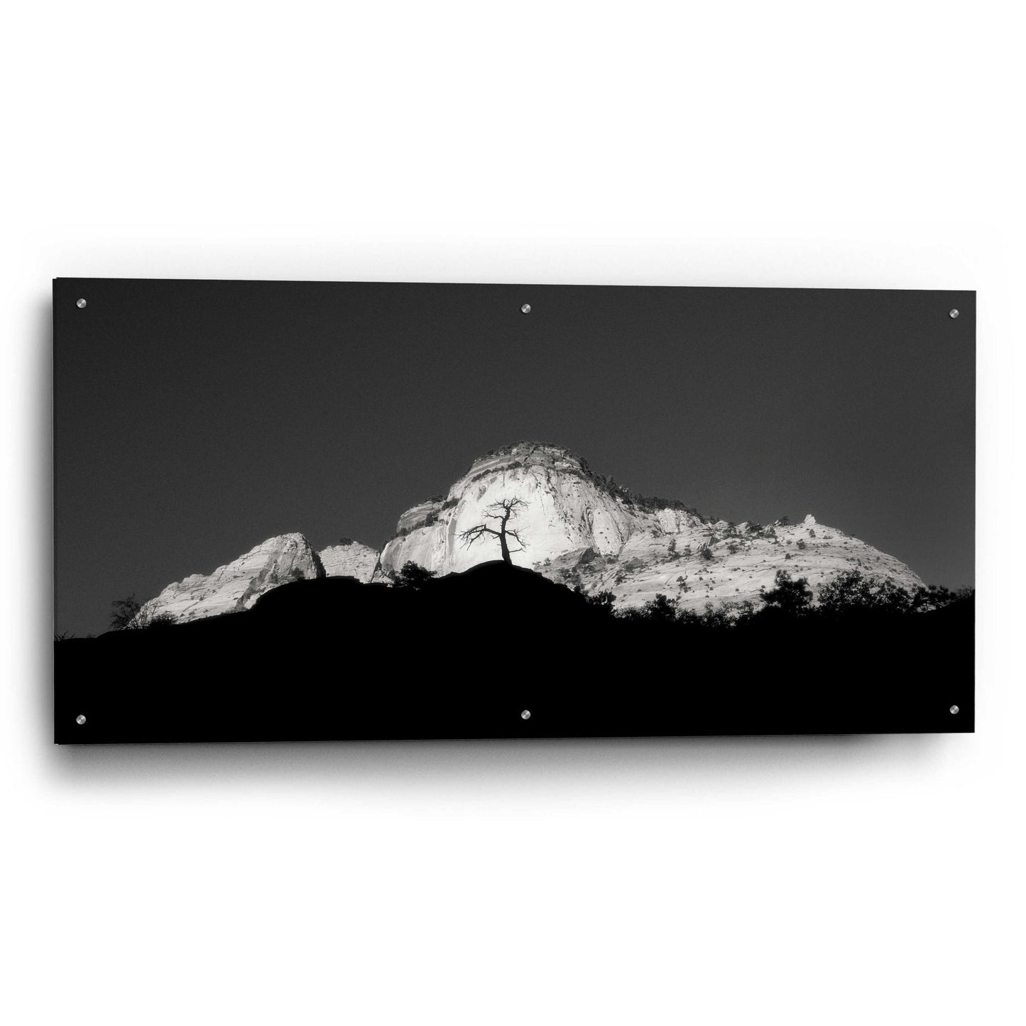 Epic Art 'Zion Tree Silhouette' by Thomas Haney, Acrylic Glass Wall Art,48x24