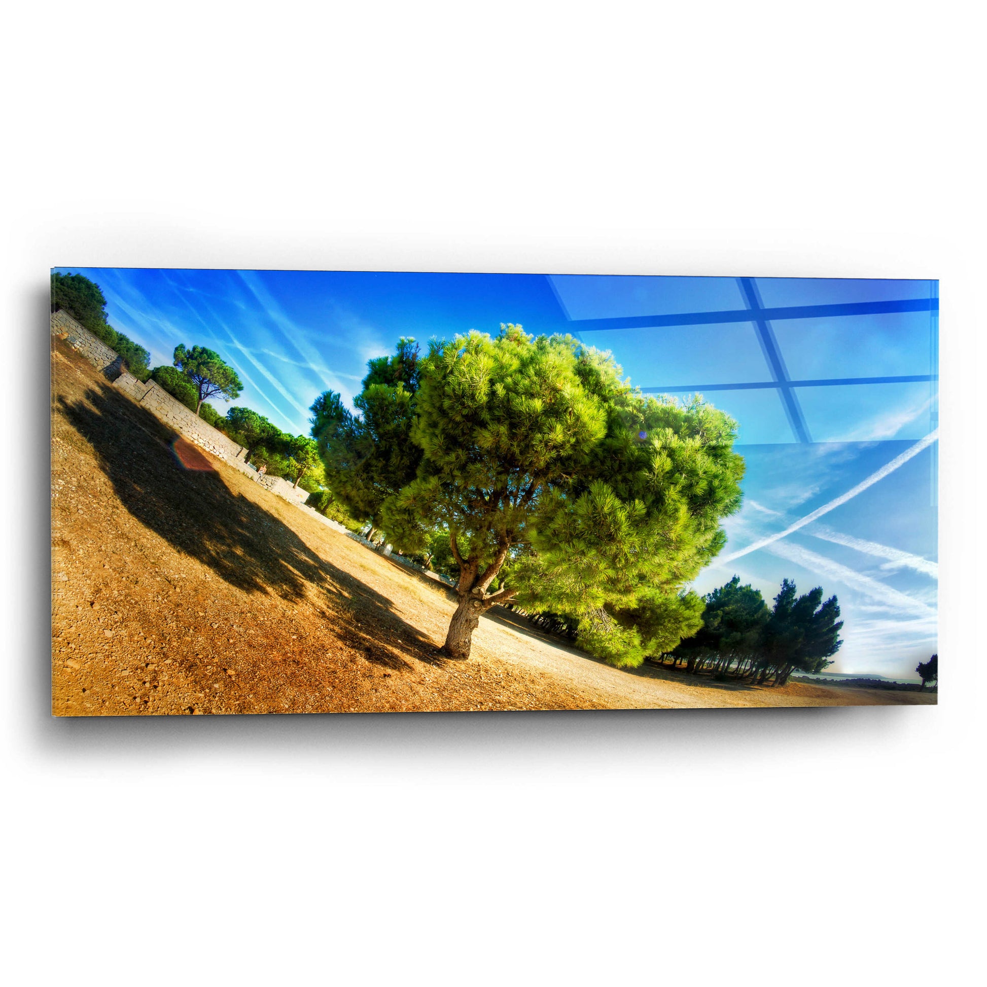 Epic Art 'Summer Tree' by Sebastien Lory, Acrylic Glass Wall Art,24x12