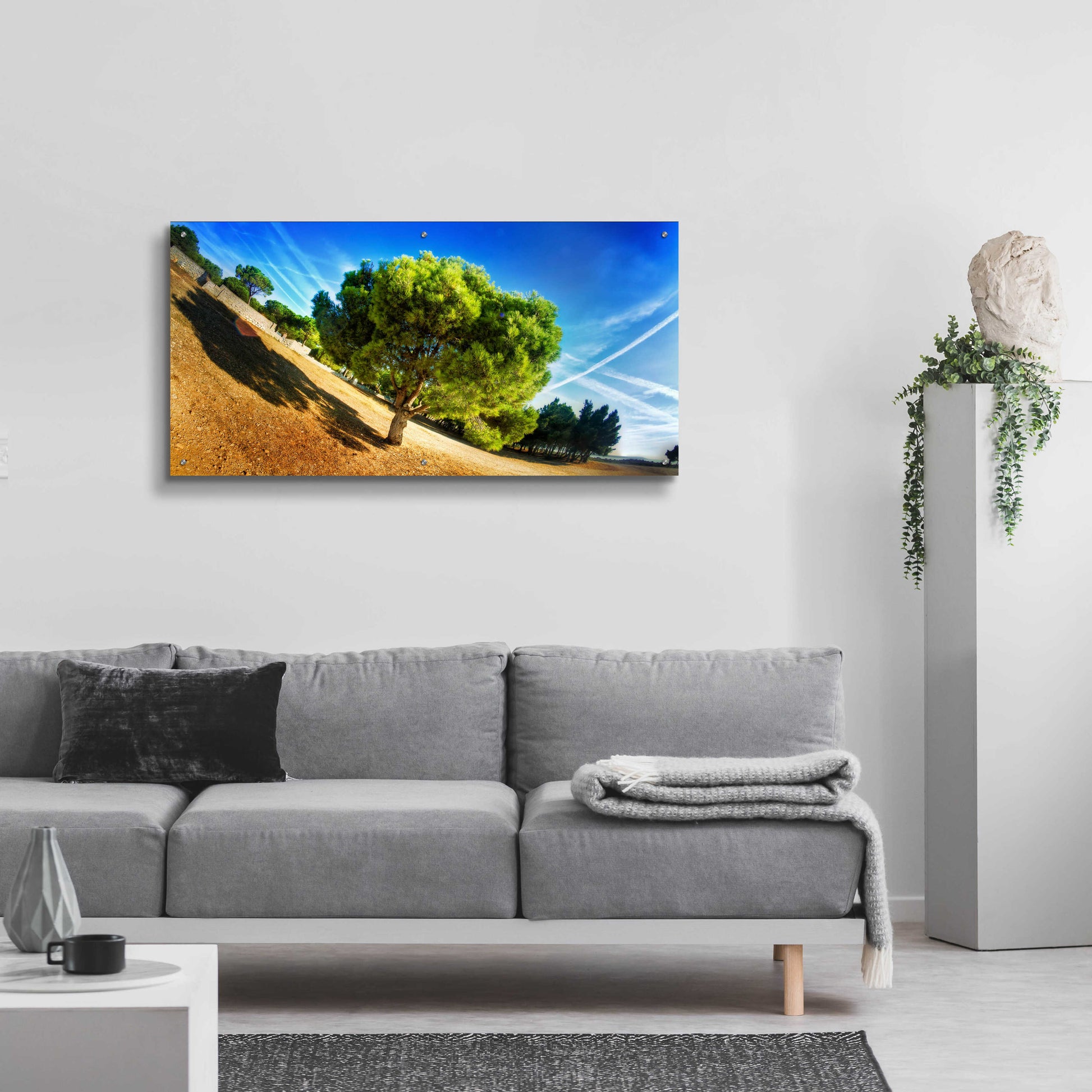 Epic Art 'Summer Tree' by Sebastien Lory, Acrylic Glass Wall Art,48x24