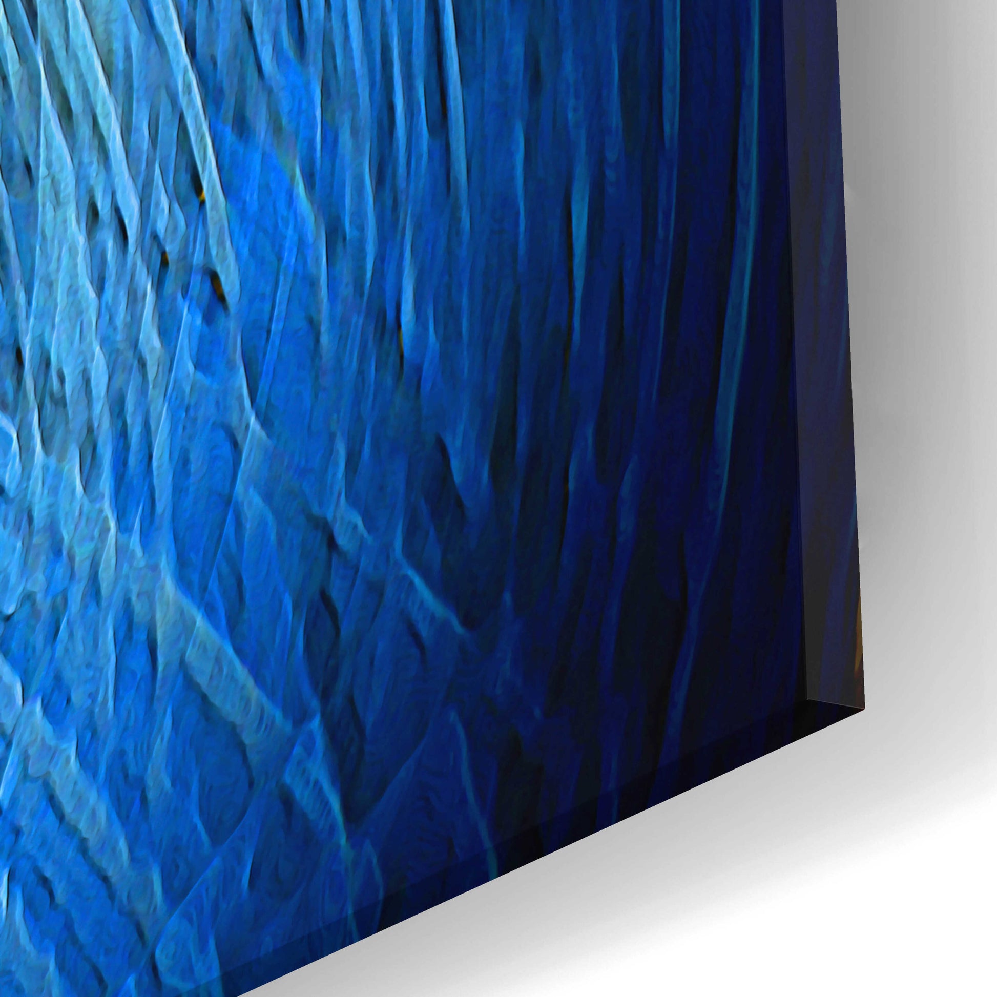 Epic Art 'Parrot Noya 3' by David Manlove, Acrylic Glass Wall Art,24x12