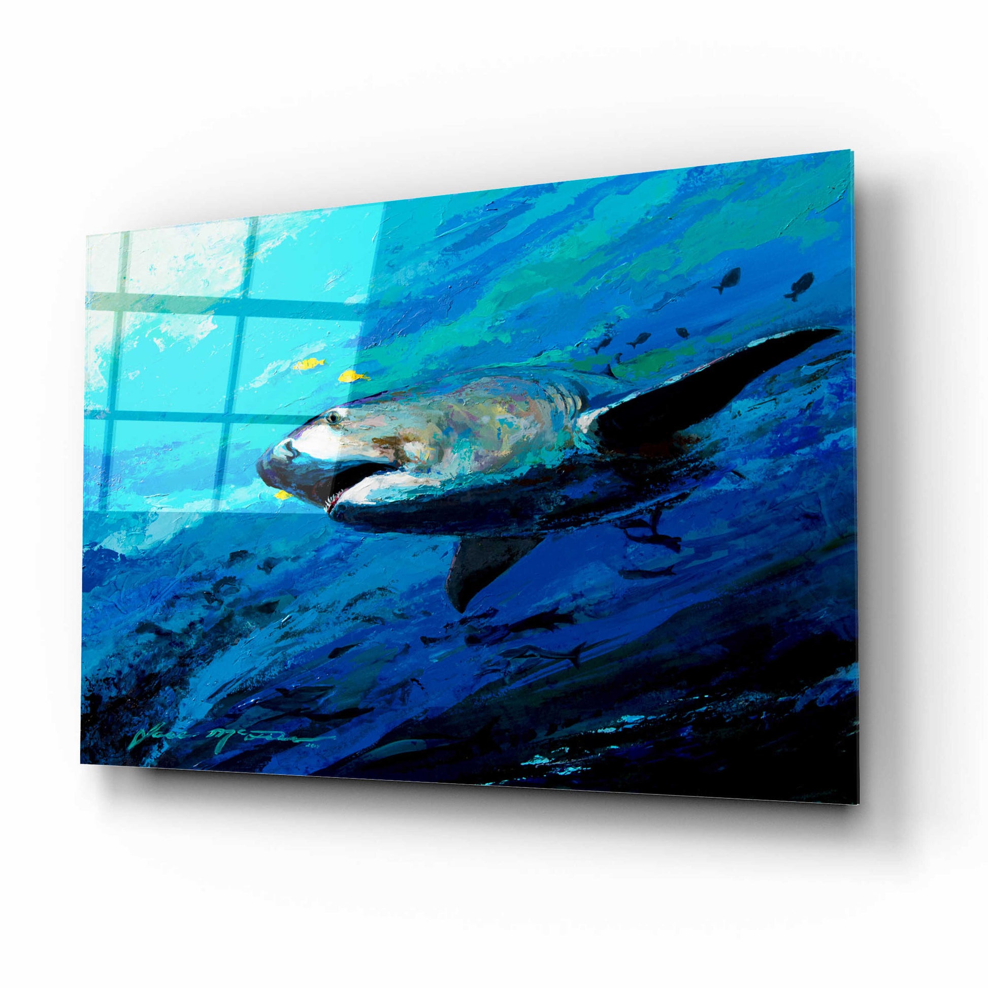 Epic Art 'The Mighty Bull Shark' by Jace D McTier, Acrylic Glass Wall Art,16x12