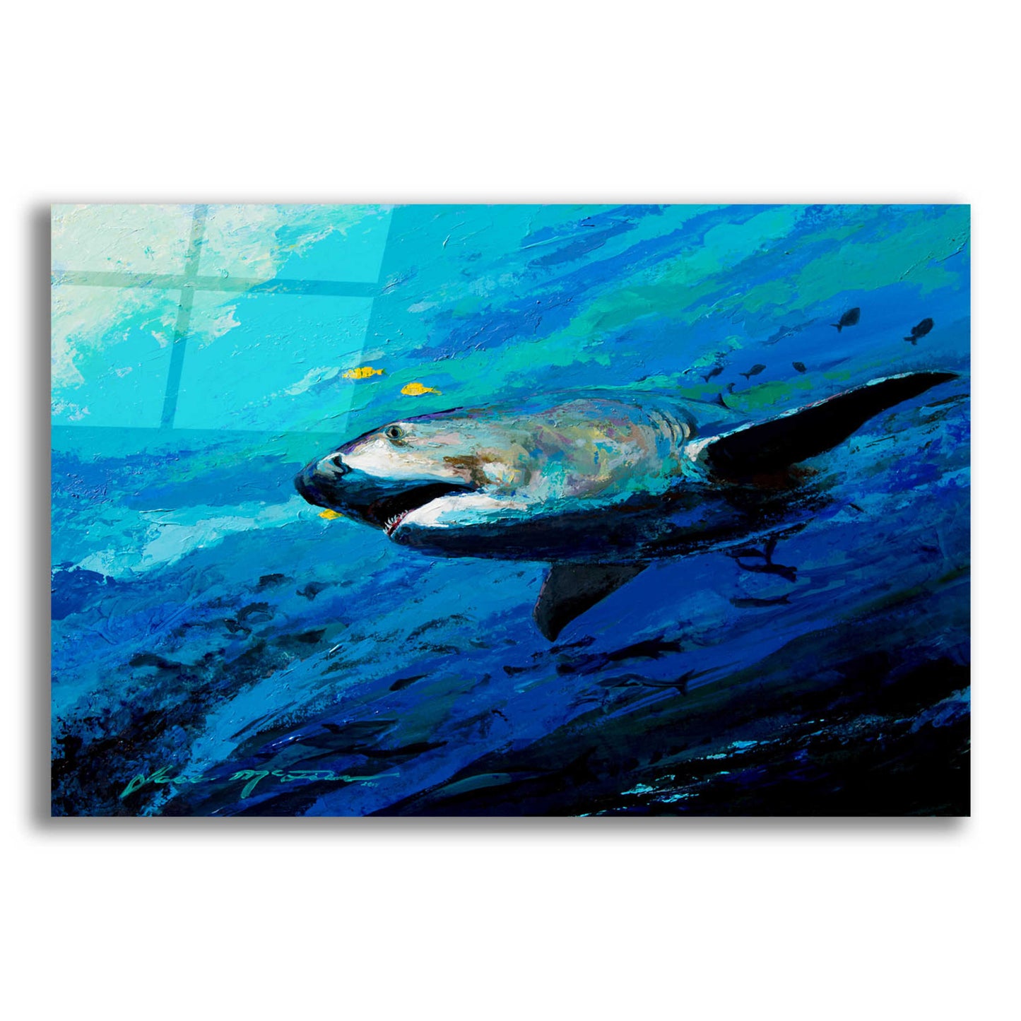 Epic Art 'The Mighty Bull Shark' by Jace D McTier, Acrylic Glass Wall Art,16x12