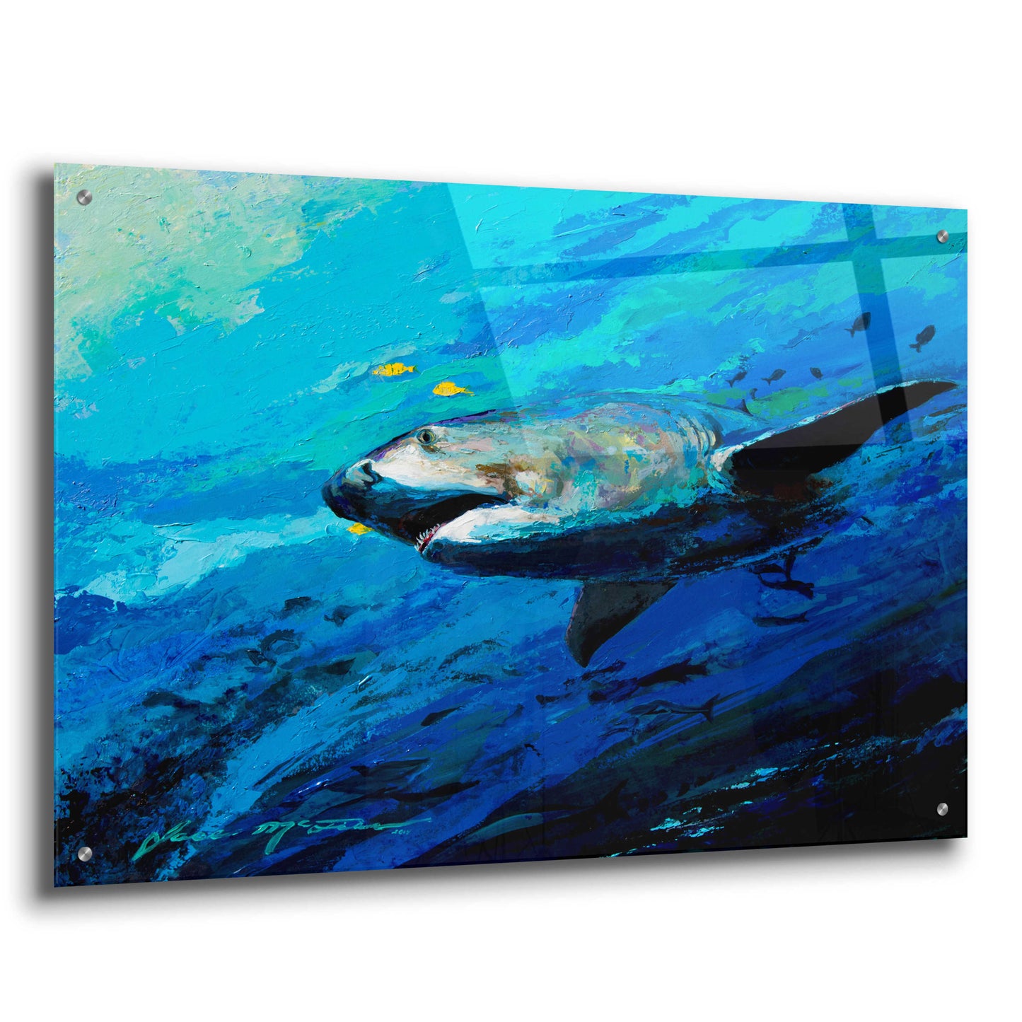 Epic Art 'The Mighty Bull Shark' by Jace D McTier, Acrylic Glass Wall Art,36x24