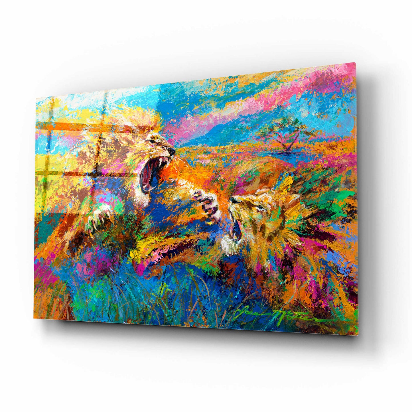 Epic Art 'Pride Fight in the Savanna African Lions' by Jace D McTier, Acrylic Glass Wall Art,16x12