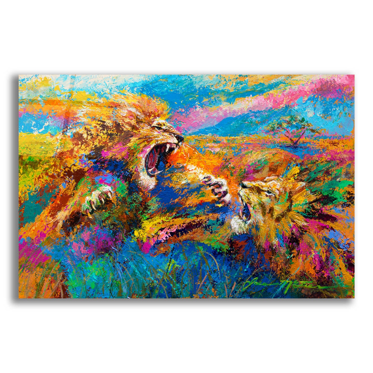 Epic Art 'Pride Fight in the Savanna African Lions' by Jace D McTier, Acrylic Glass Wall Art,16x12