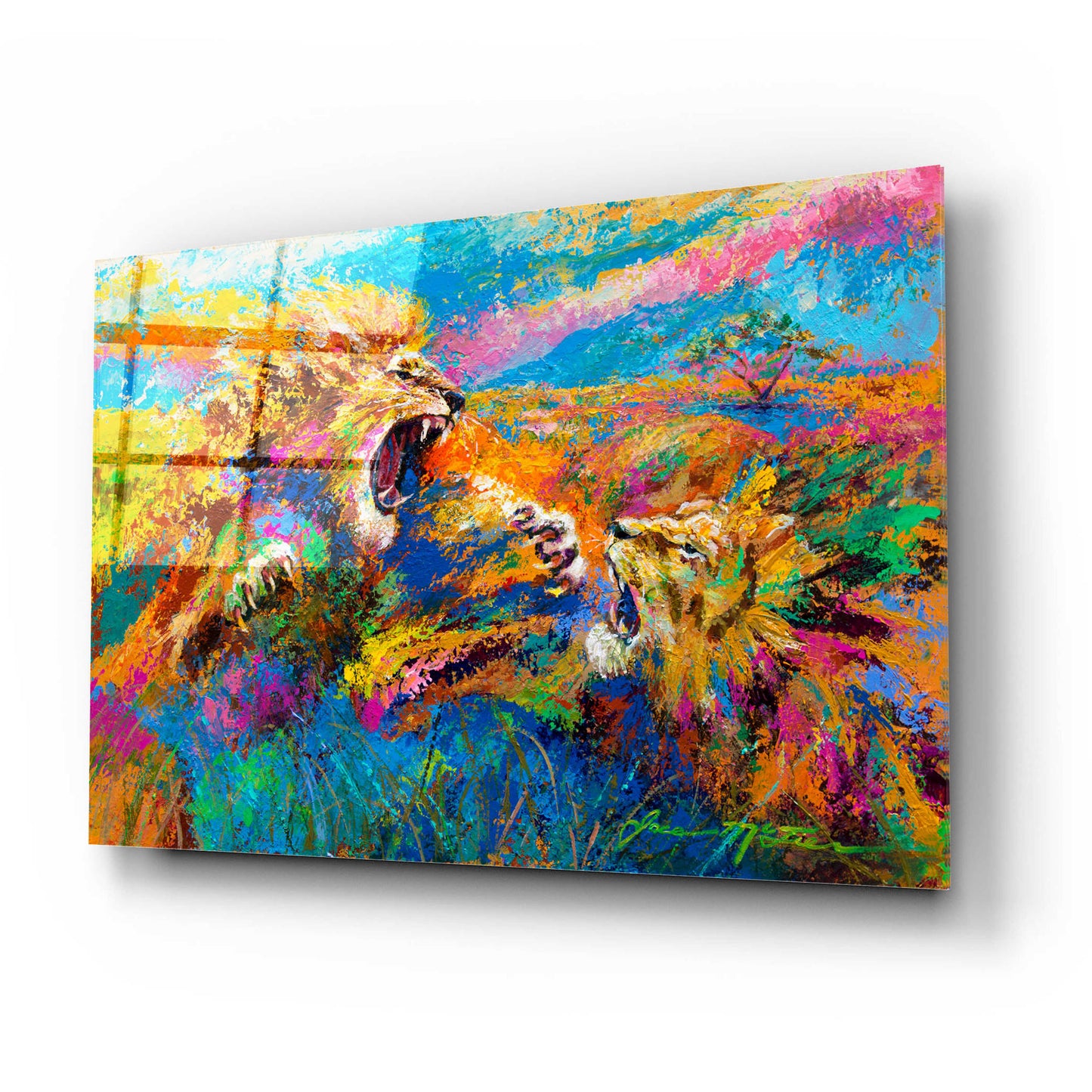 Epic Art 'Pride Fight in the Savanna African Lions' by Jace D McTier, Acrylic Glass Wall Art,24x16