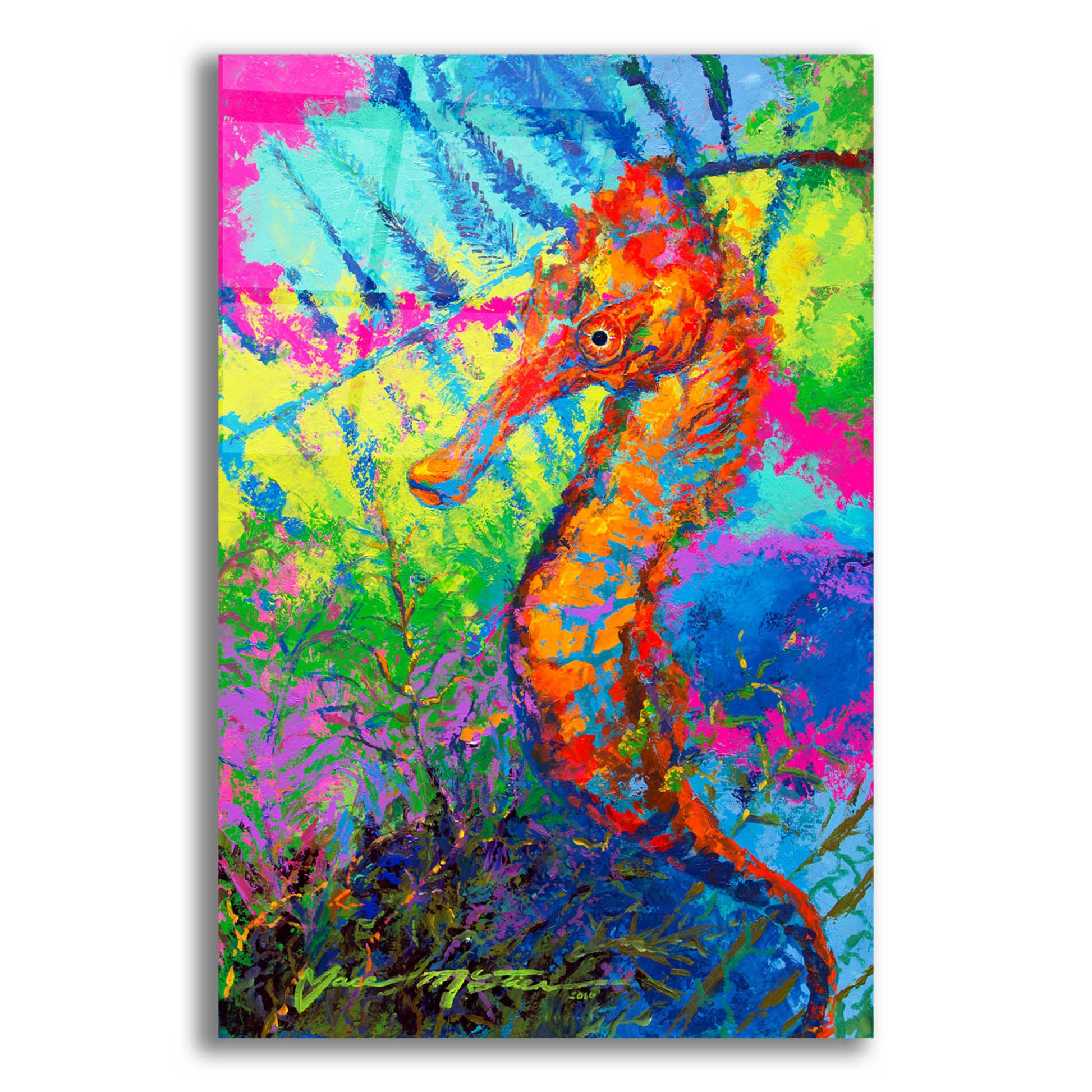 Epic Art 'Miniature Majesty of the Ocean Orange Caribbe' by Jace D McTier, Acrylic Glass Wall Art,16x24