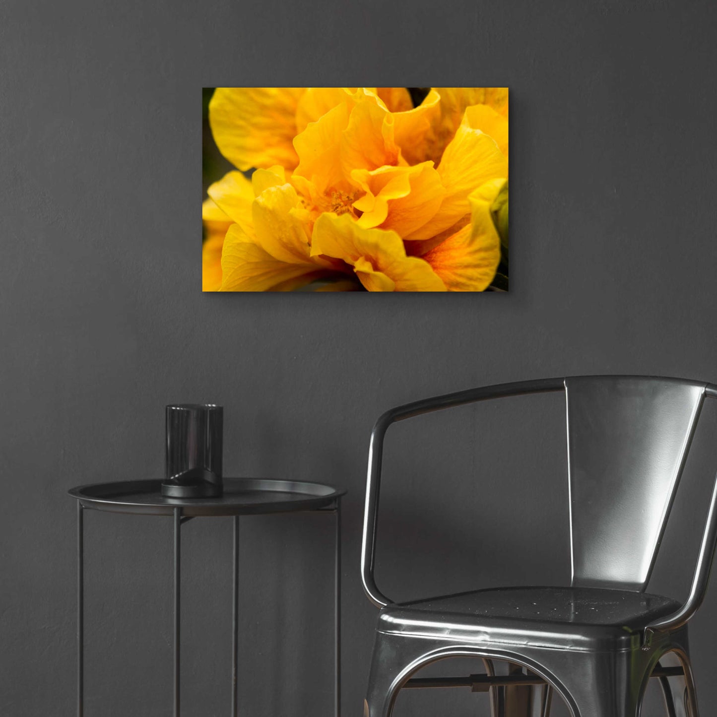 Epic Art 'Hibiscus Folds' by Chris Moyer, Acrylic Glass Wall Art,24x16