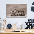 Rock Solid by Chris Moyer - 16x12 acrylic wall art in a room